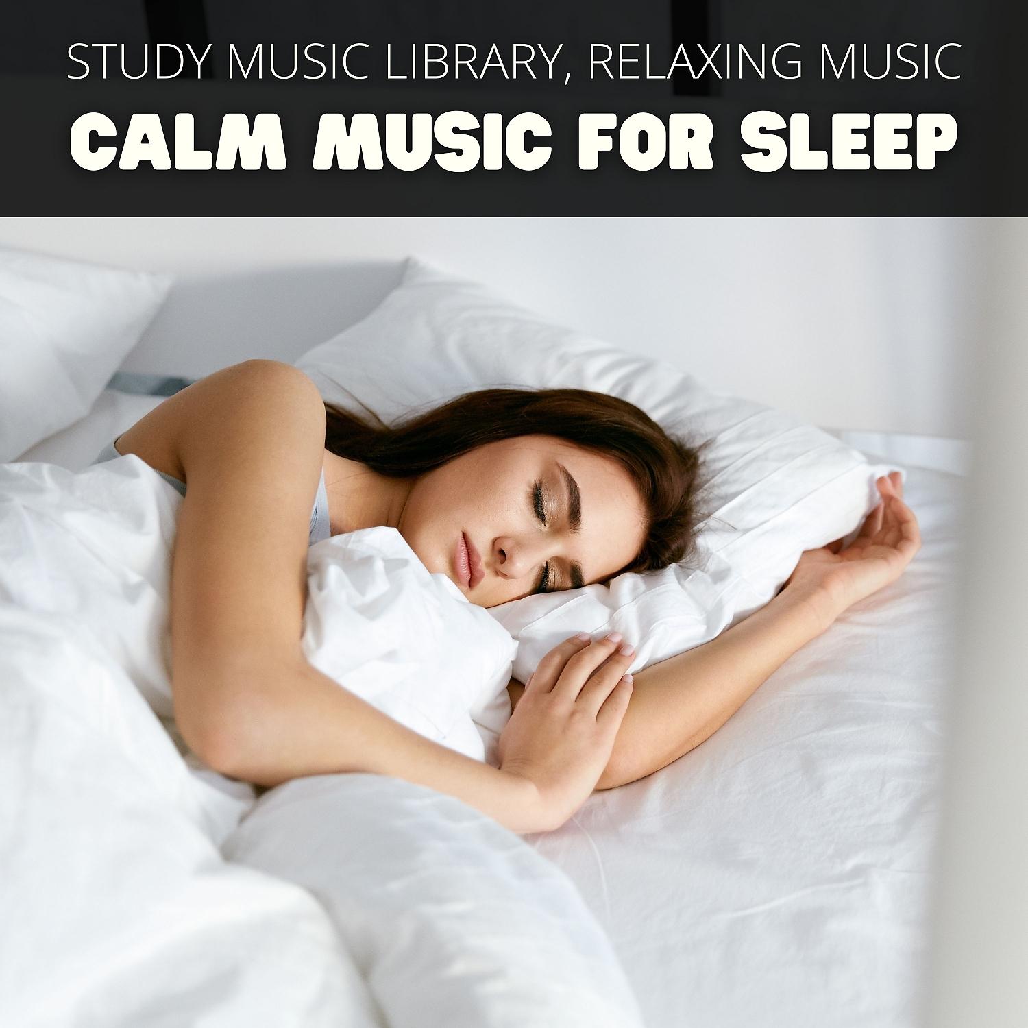 Постер альбома Calm Music for Sleep
