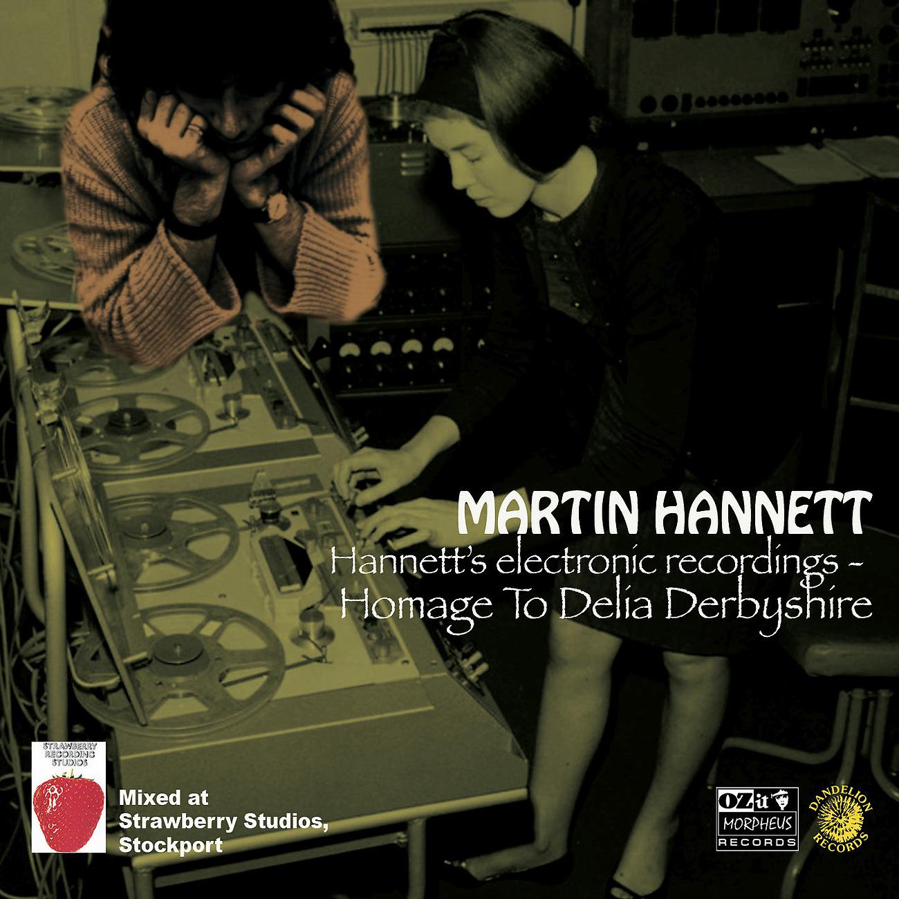 Постер альбома Hannett's Electronic Recordings - Homage To Delia Derbyshire