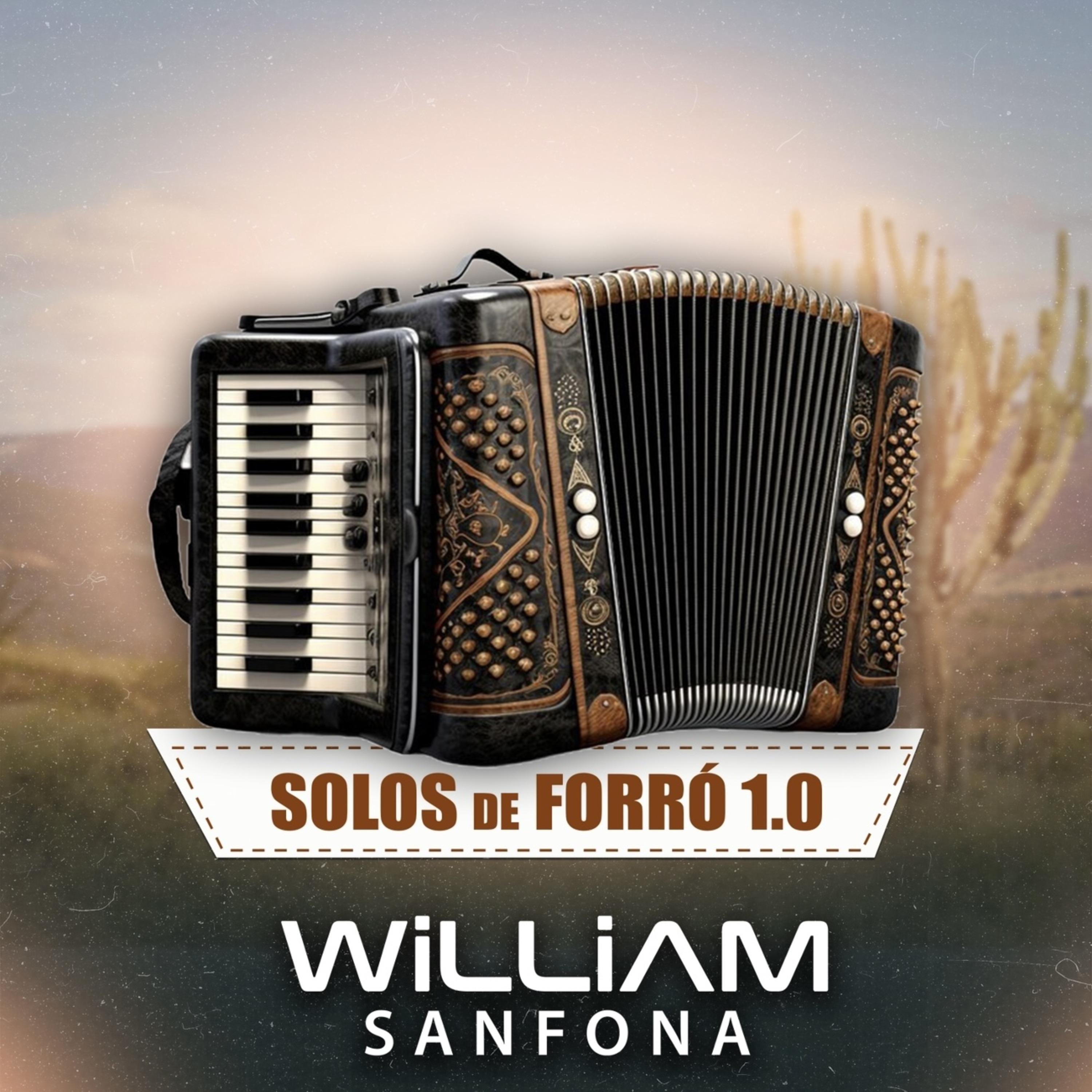 Постер альбома Solos de Forró 1.0