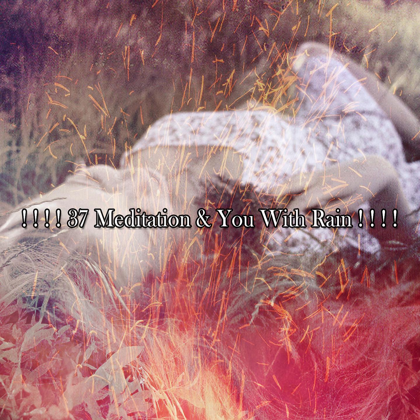 Постер альбома ! ! ! ! 37 Медитация и ты с дождем! ! ! !