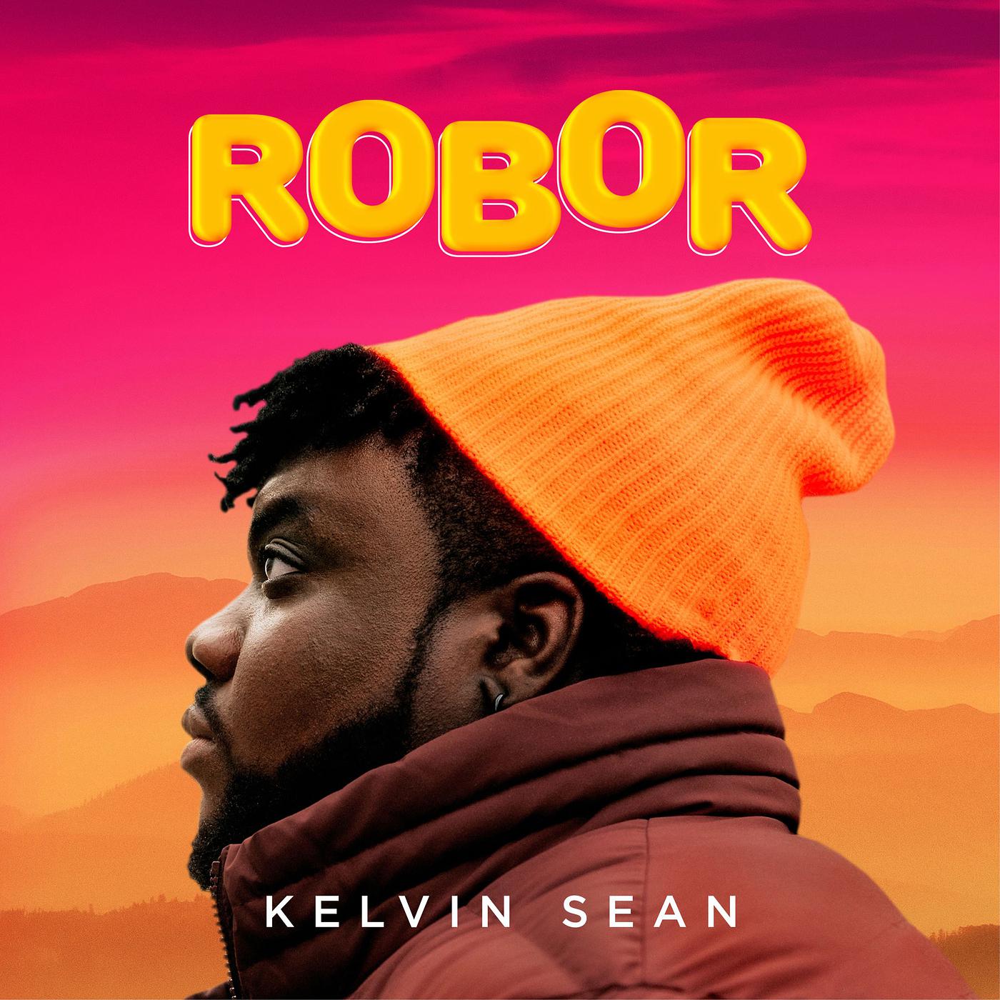 Постер альбома Robor
