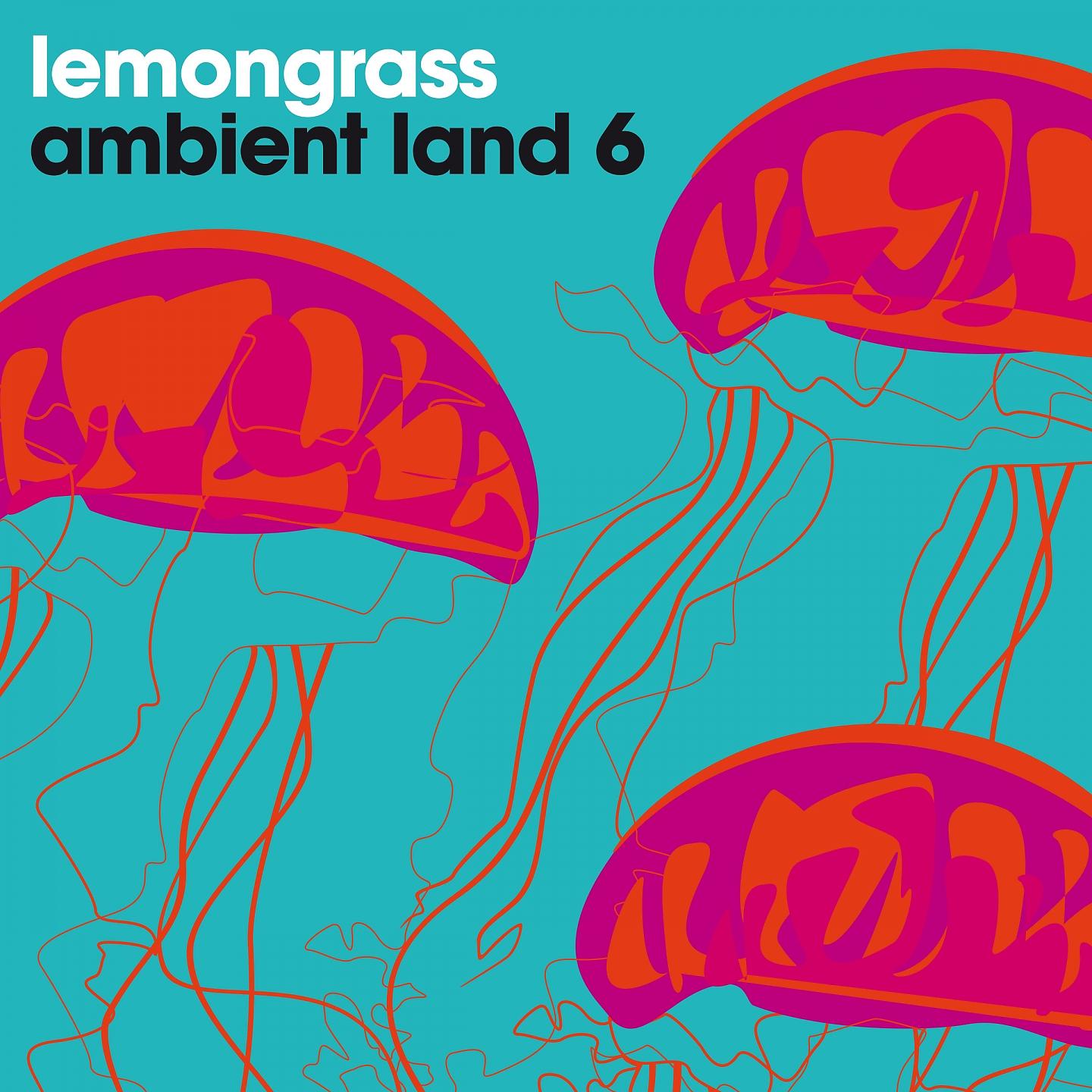 Постер альбома Ambient Land 6