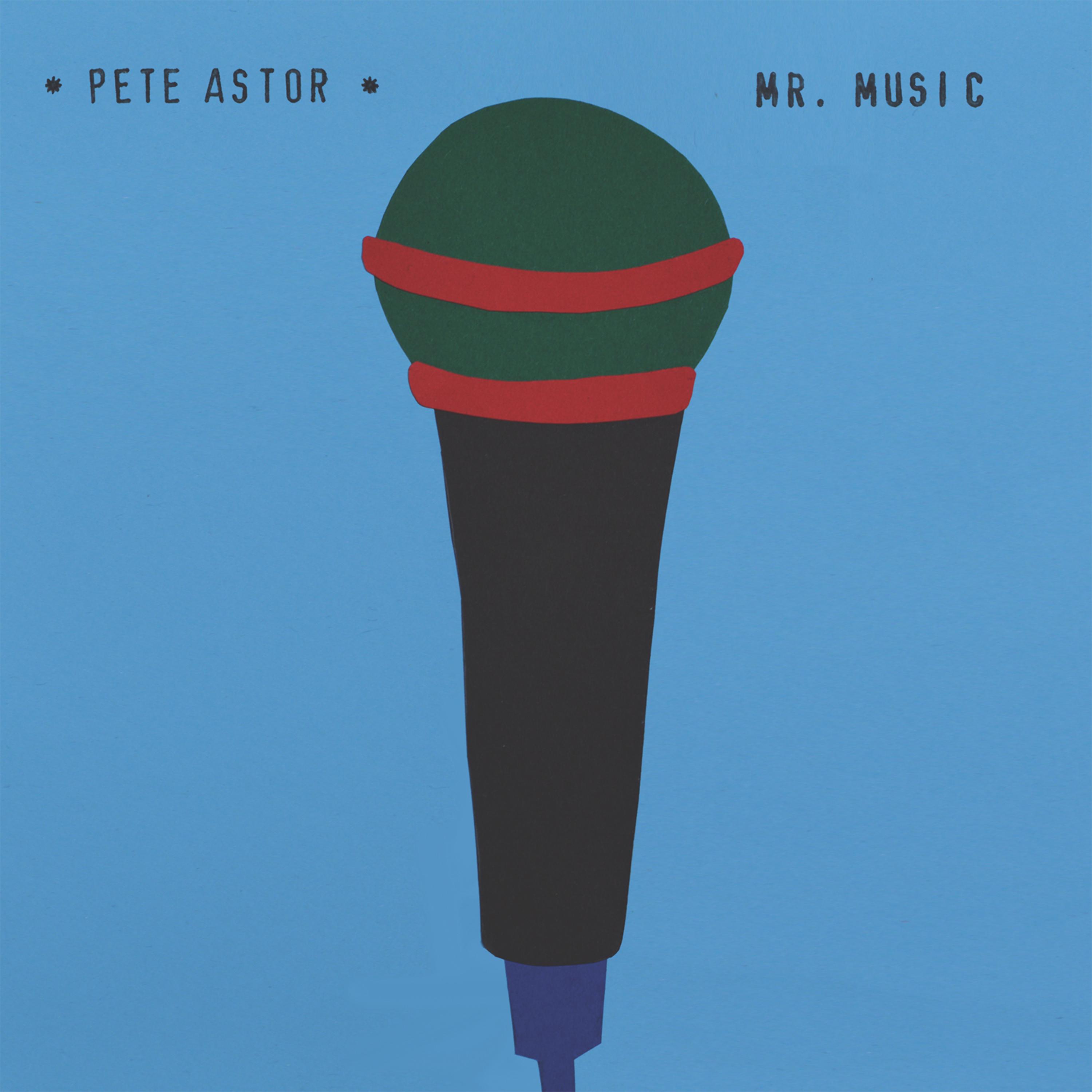 Постер альбома Mr. Music