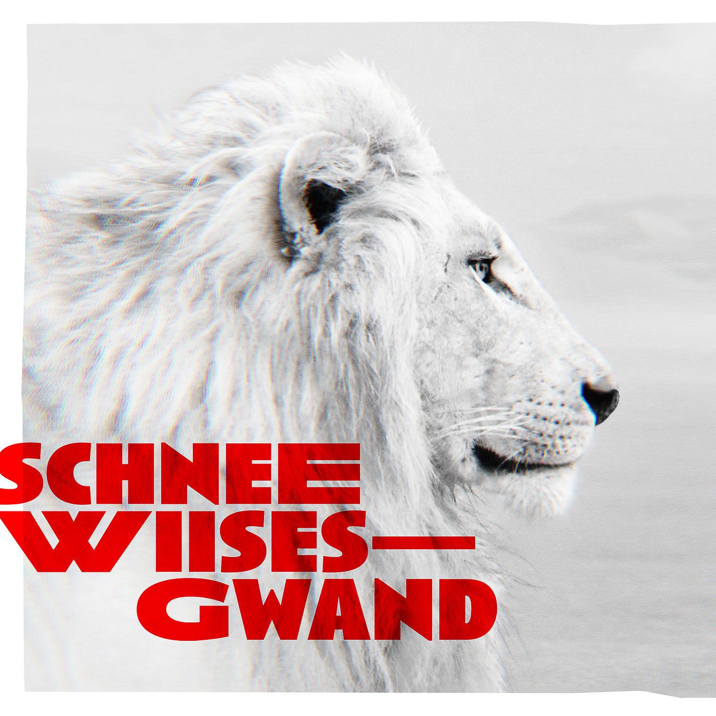Постер альбома Schneewiises Gwand