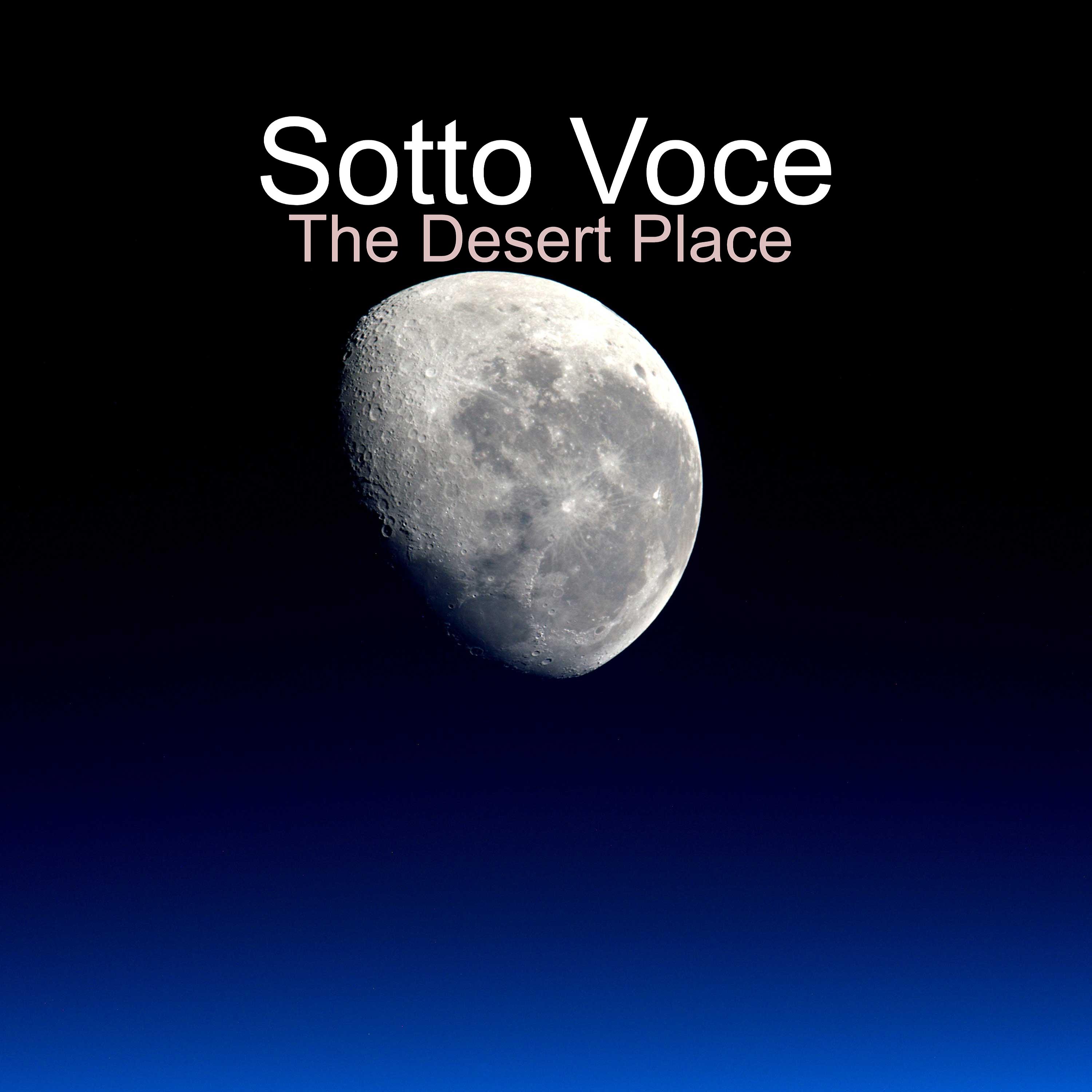 Постер альбома The Desert Place