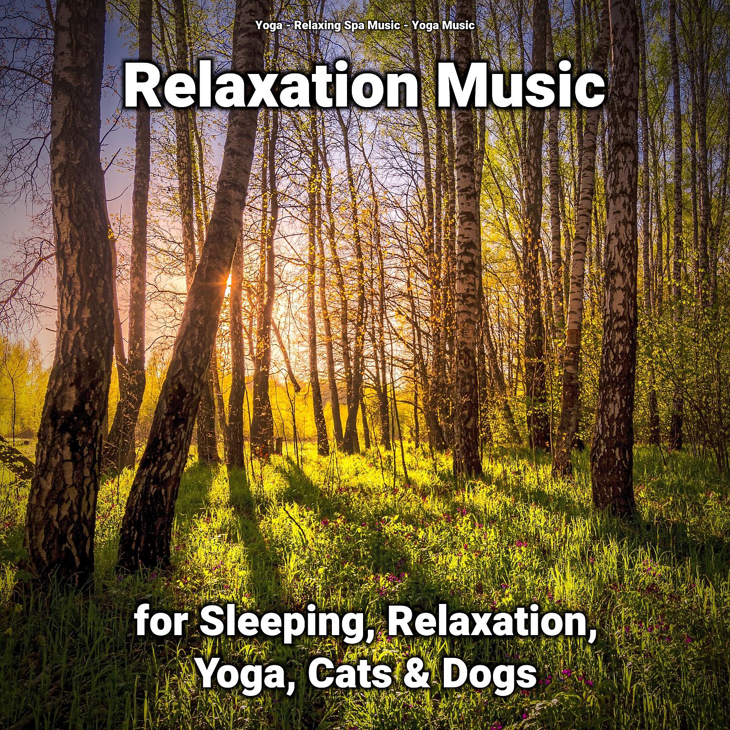 Постер альбома Relaxation Music for Sleeping, Relaxation, Yoga, Cats & Dogs