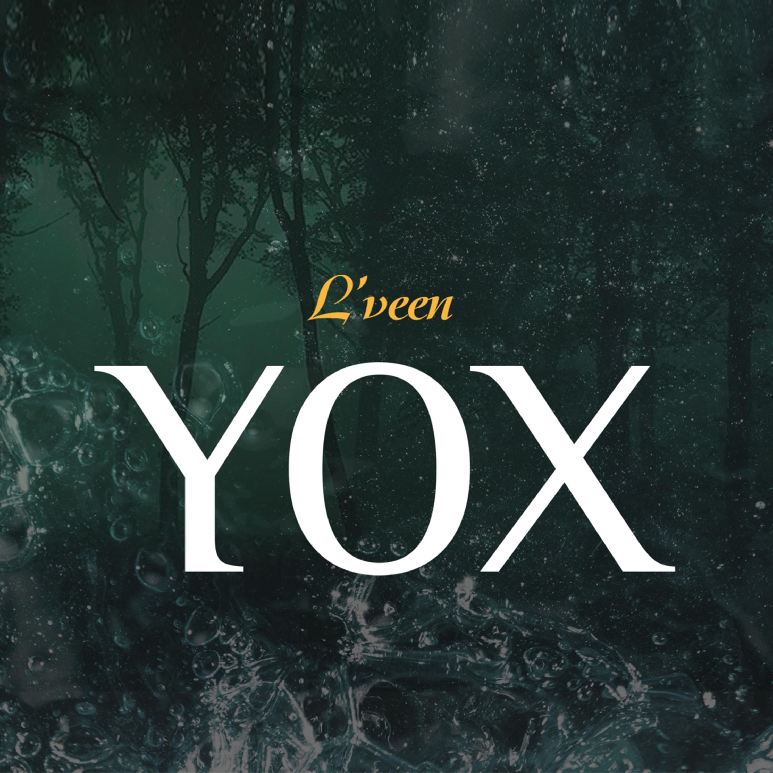 Постер альбома Yox