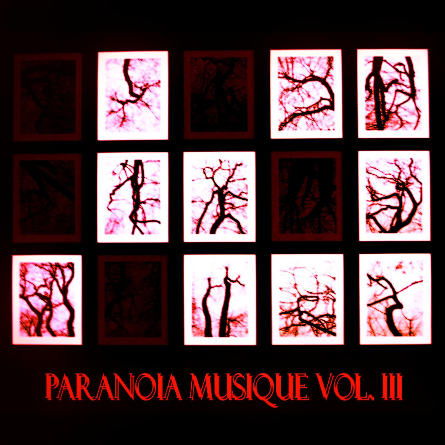 Постер альбома Paranoia Musique, Vol. 3