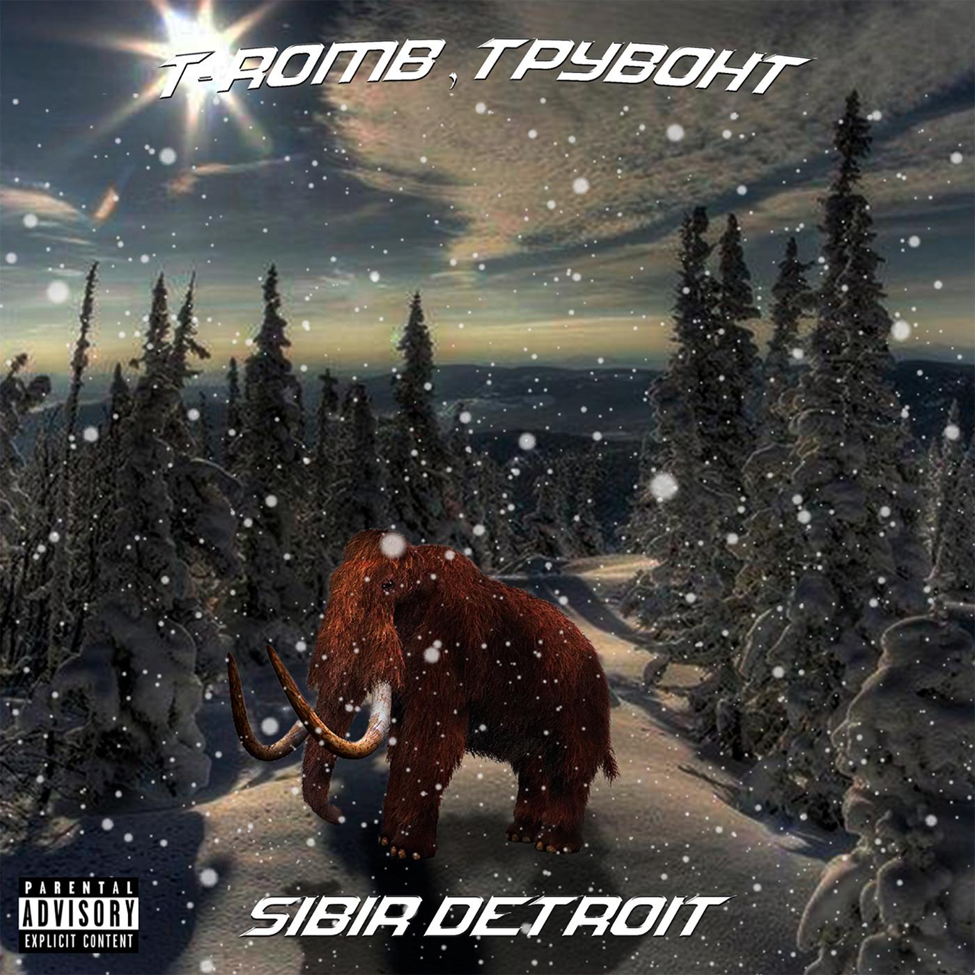 Постер альбома Sibir Detroit