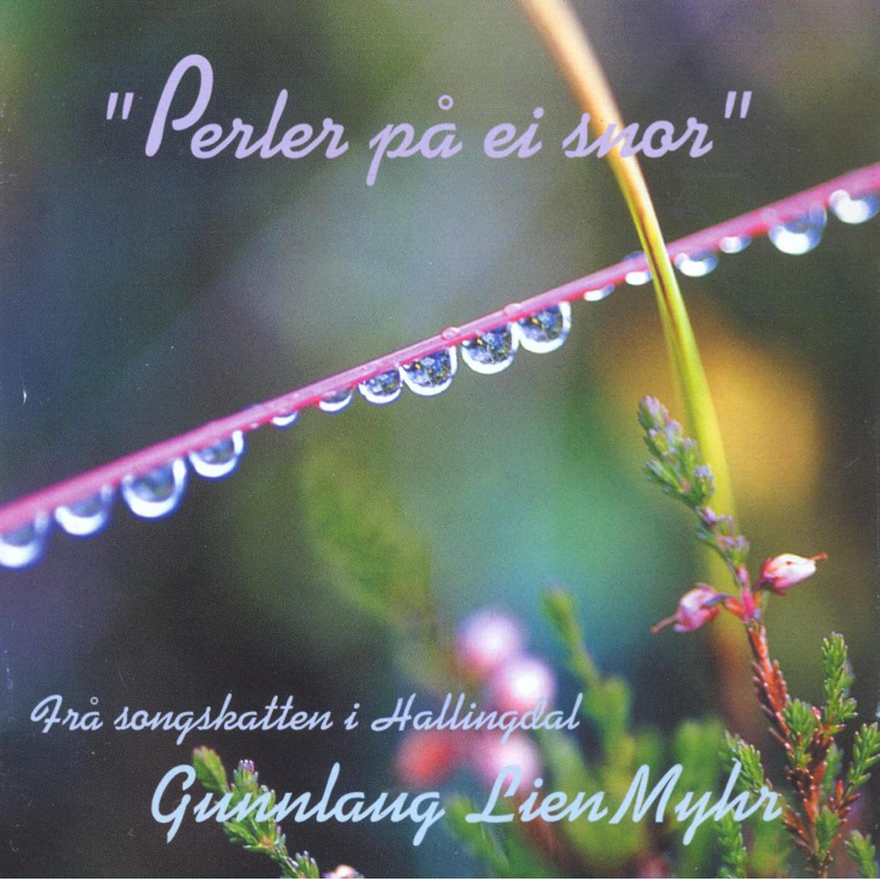 Постер альбома "Perler på ei snor" Frå songskatten i Hallingdal