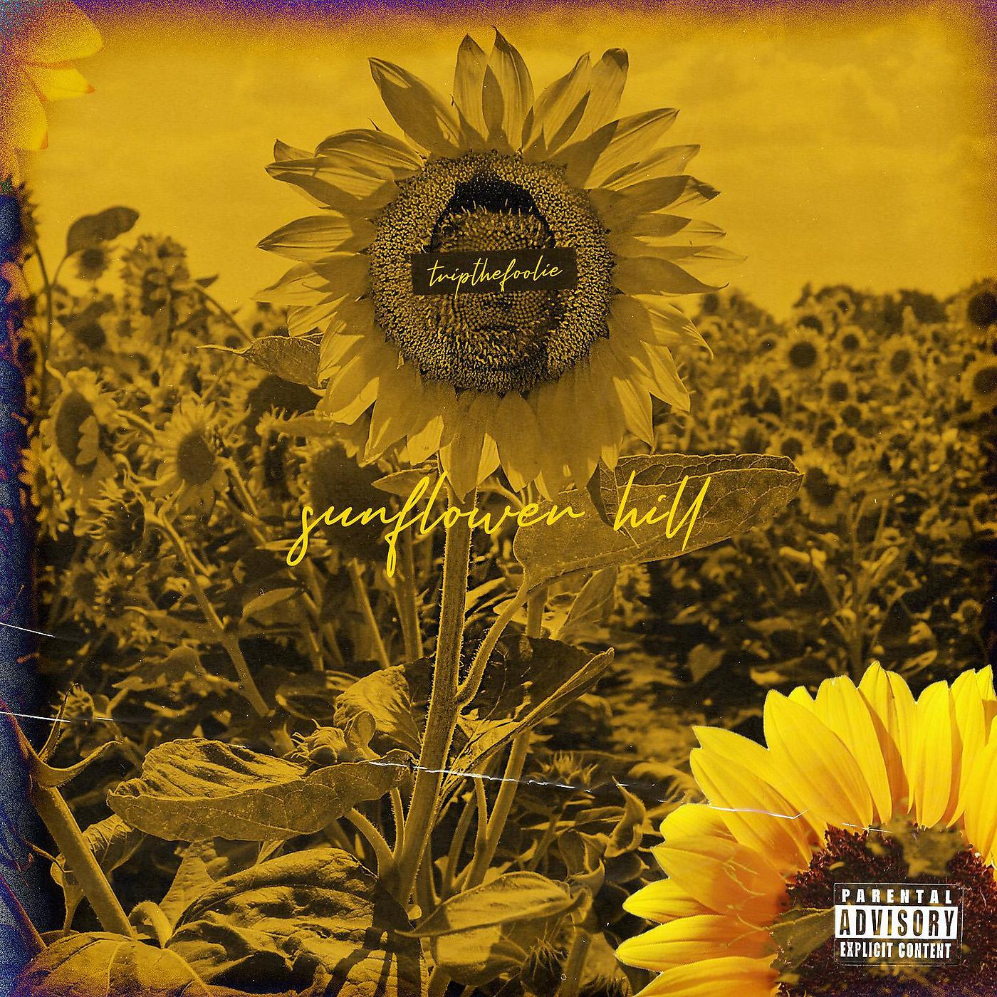 Постер альбома Sunflower Hill