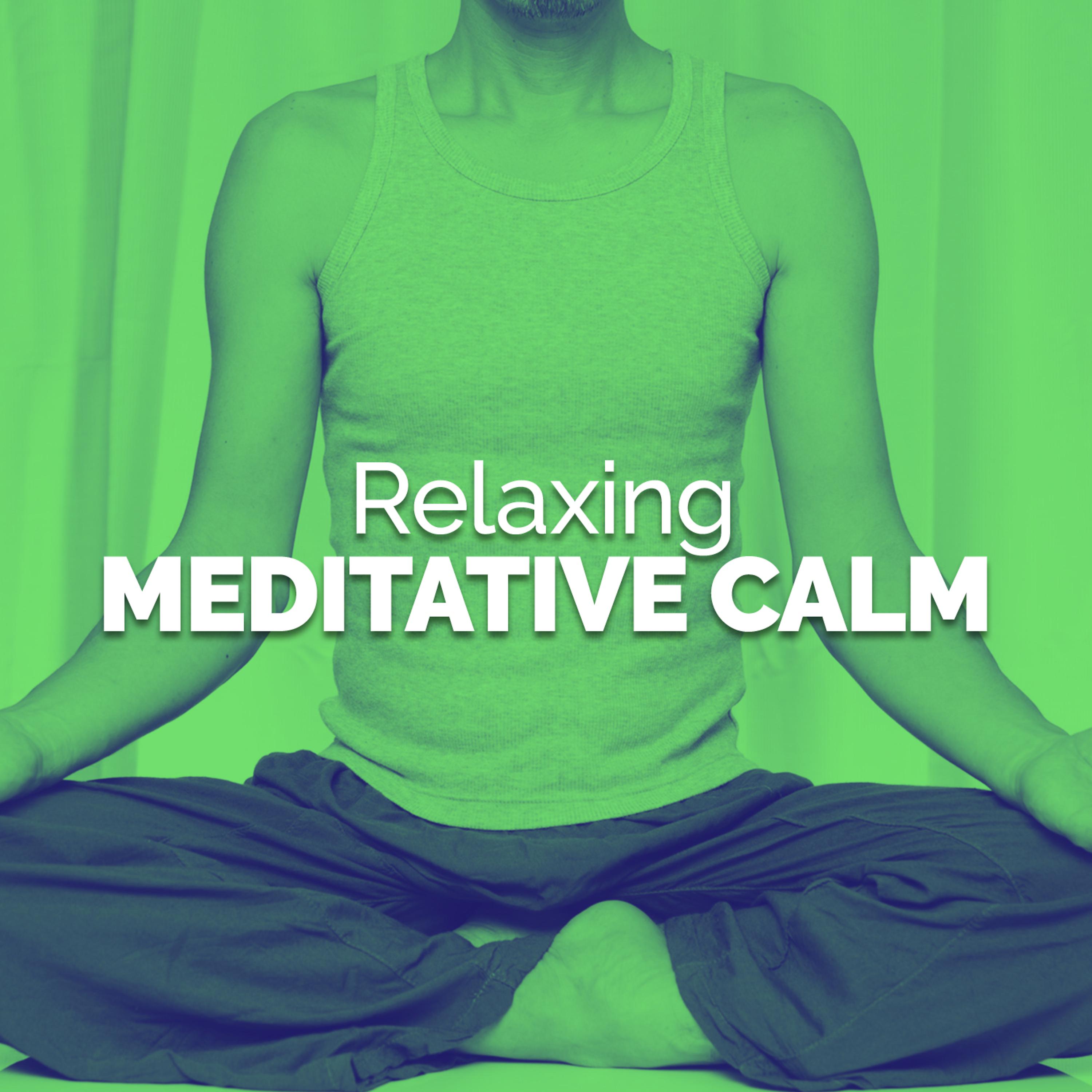 Постер альбома Relaxing Meditative Calm