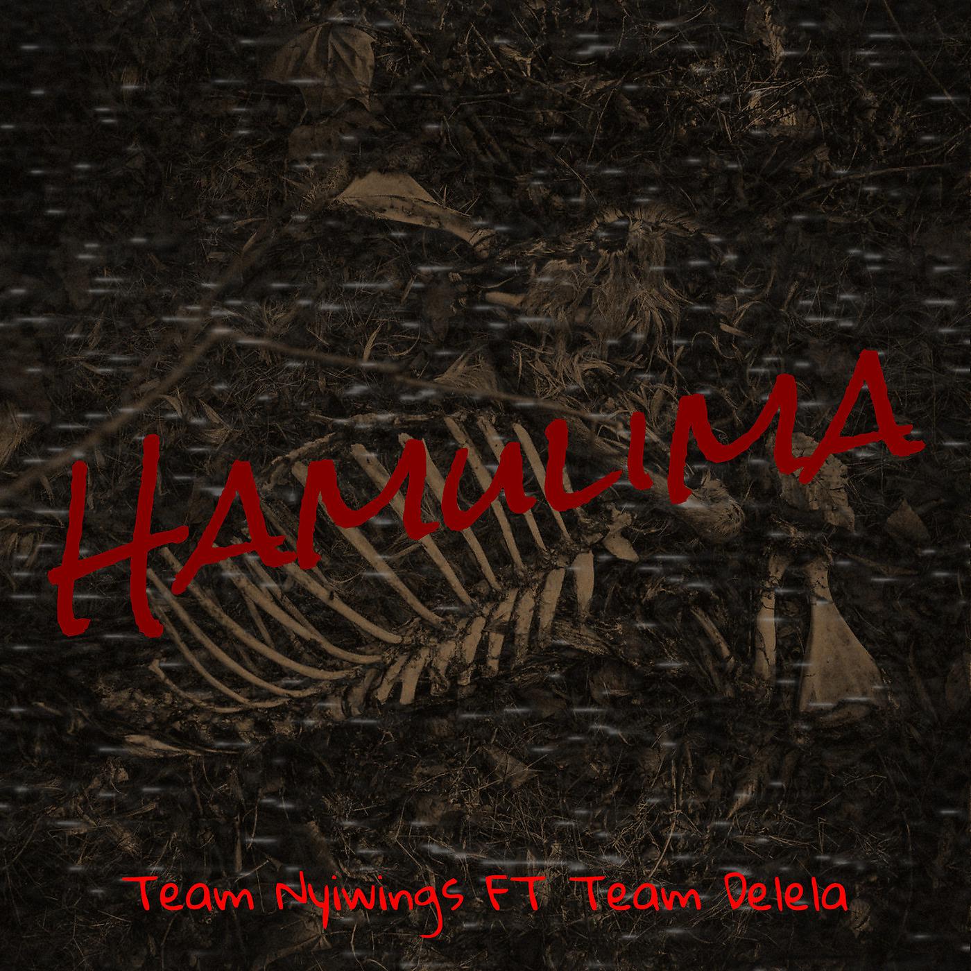 Постер альбома Hamulima