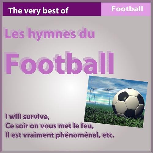 Постер альбома Les hymnes du football (The Very Best Of Football Songs)