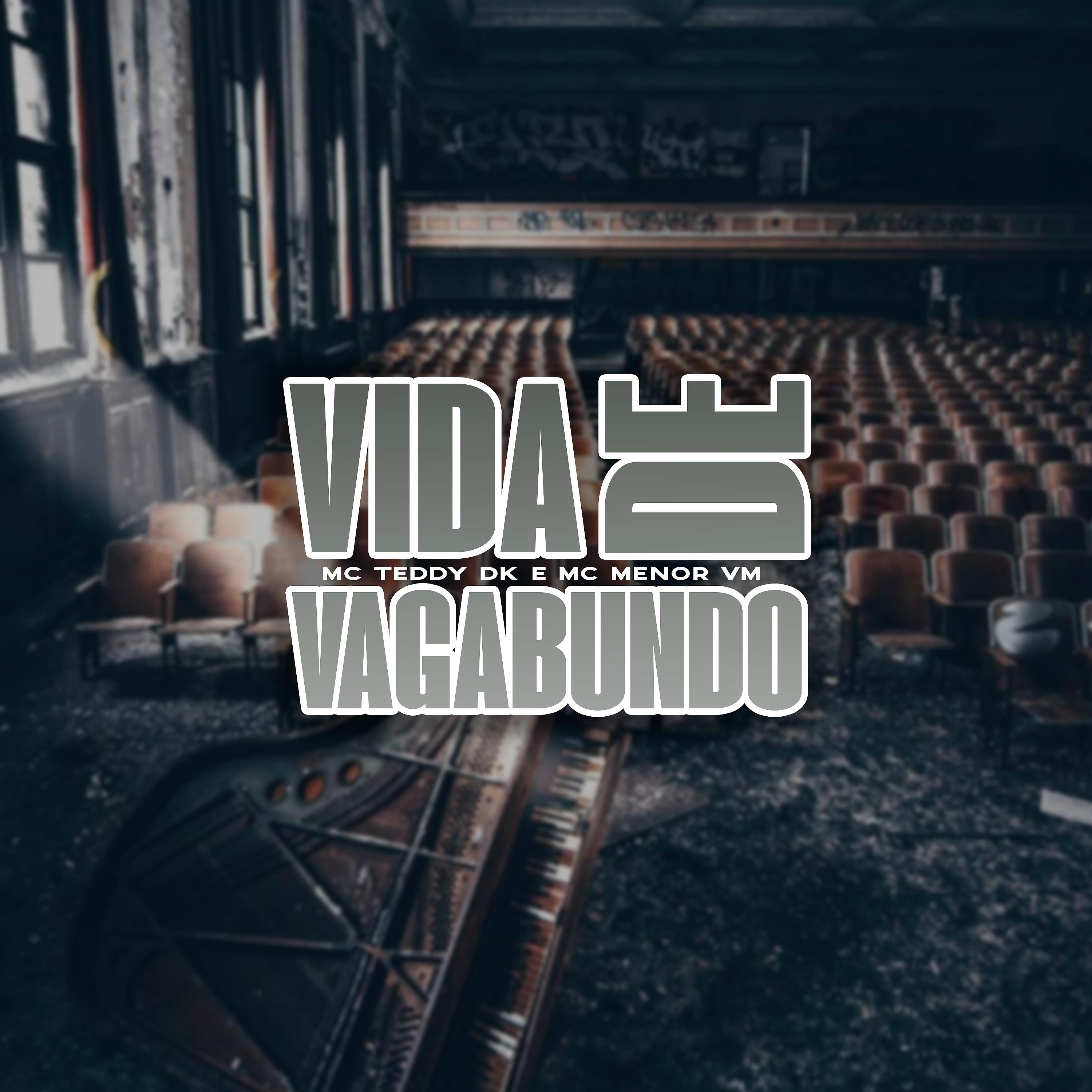 Постер альбома Vida de Vagabundo