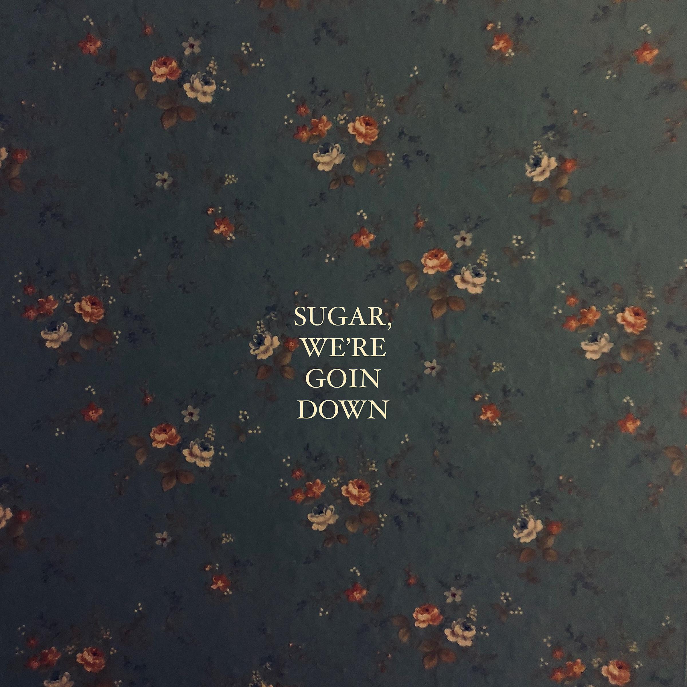 Постер альбома Sugar, We're Goin Down