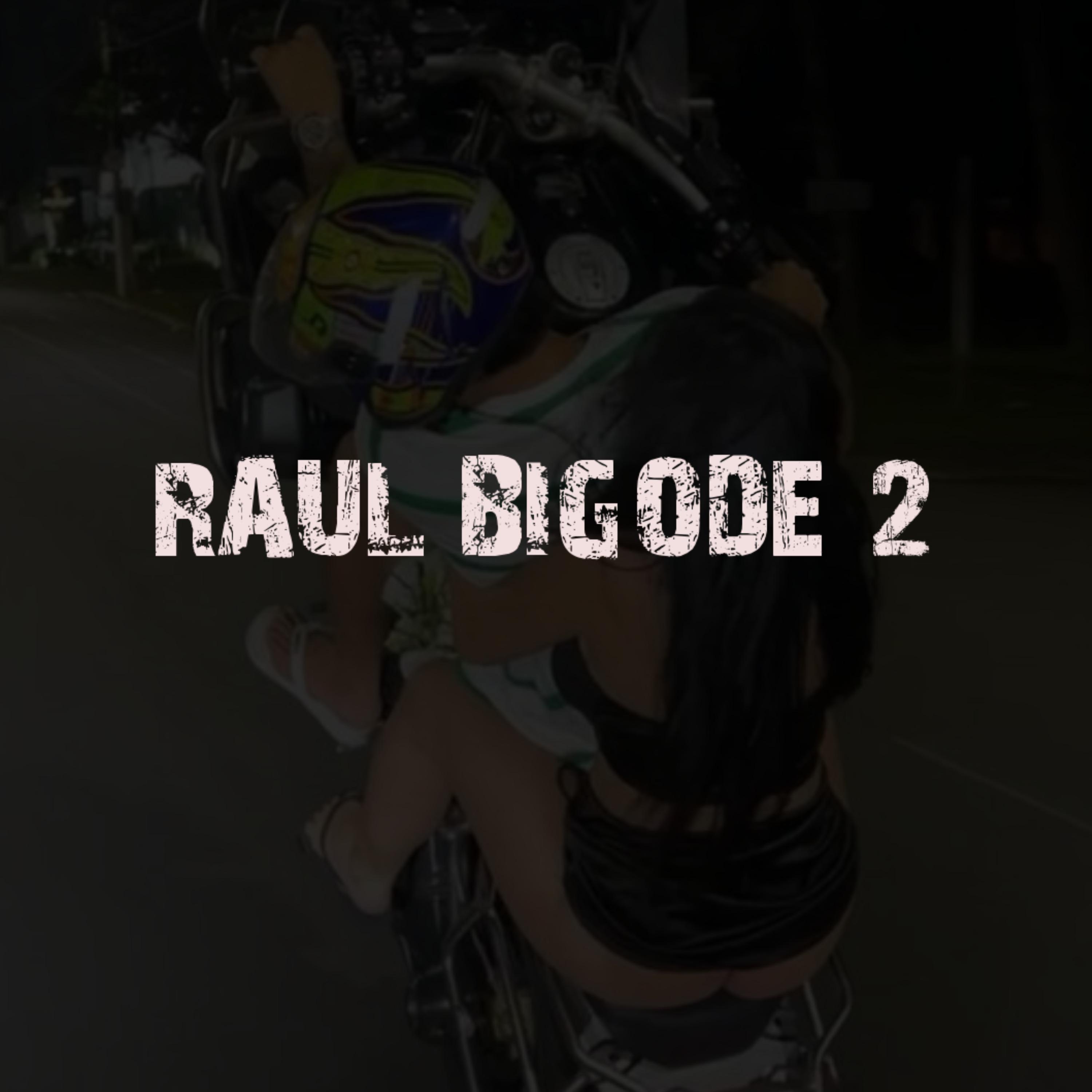 Постер альбома Raul Bigode 2