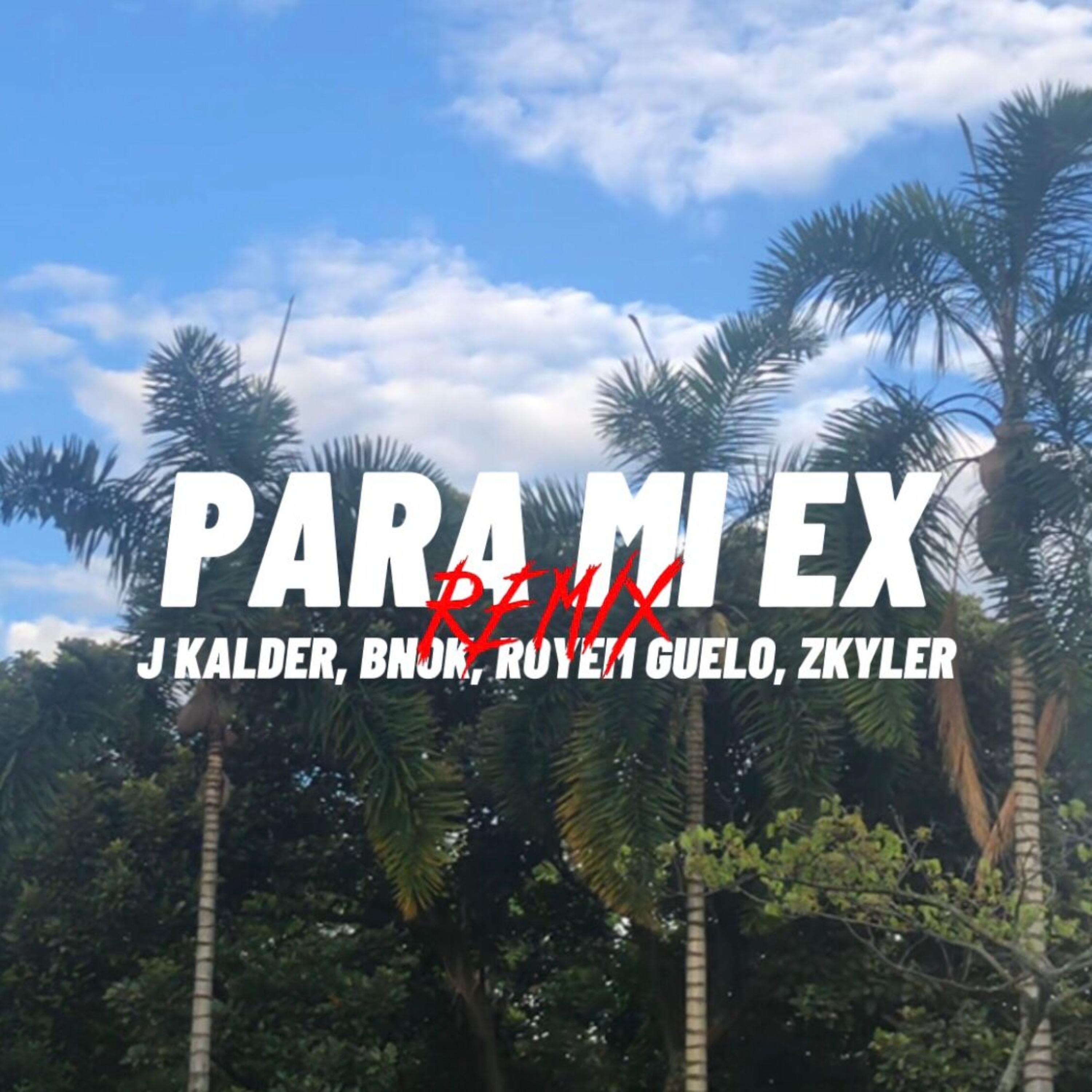 Постер альбома Para Mi Ex