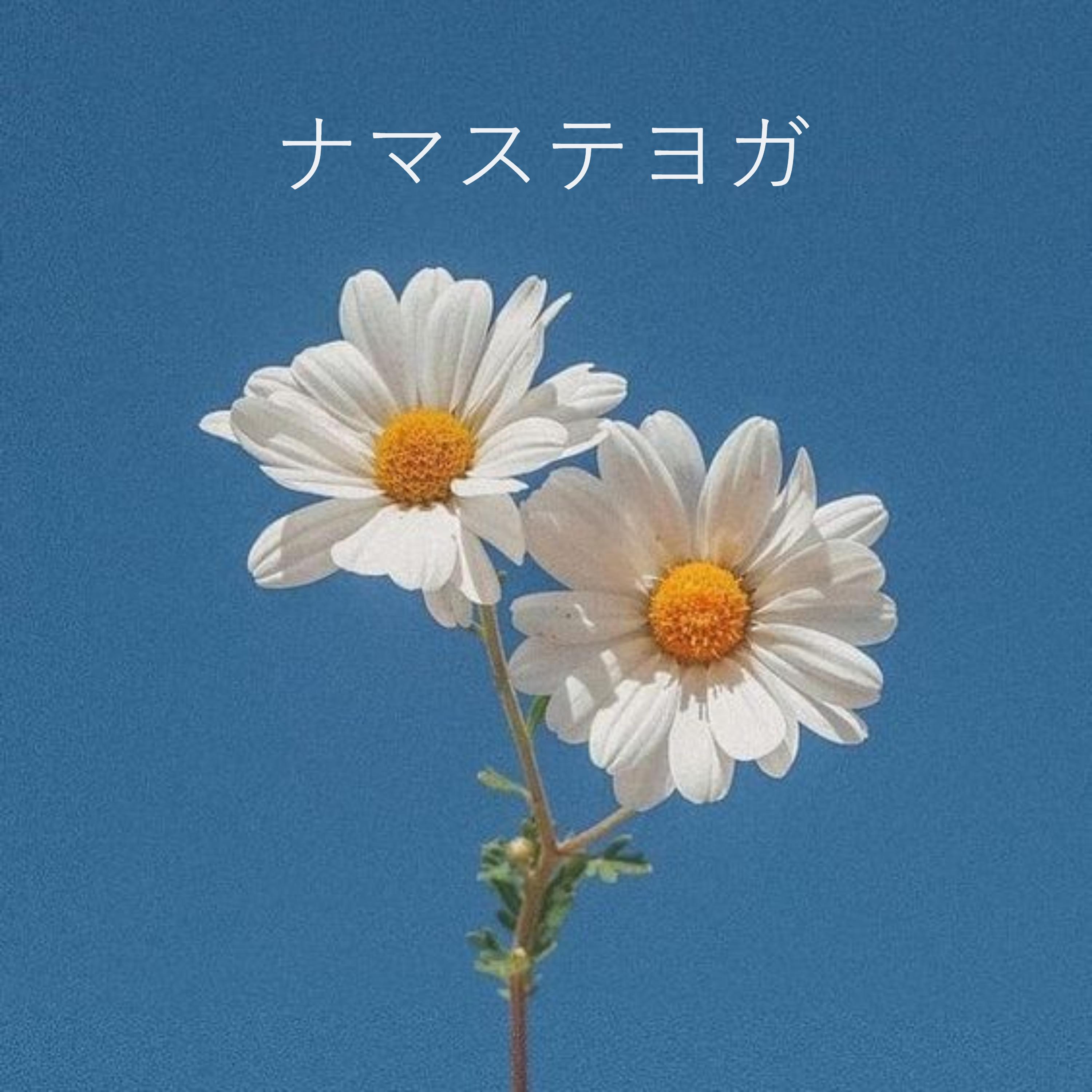 Постер альбома ナマステヨガ