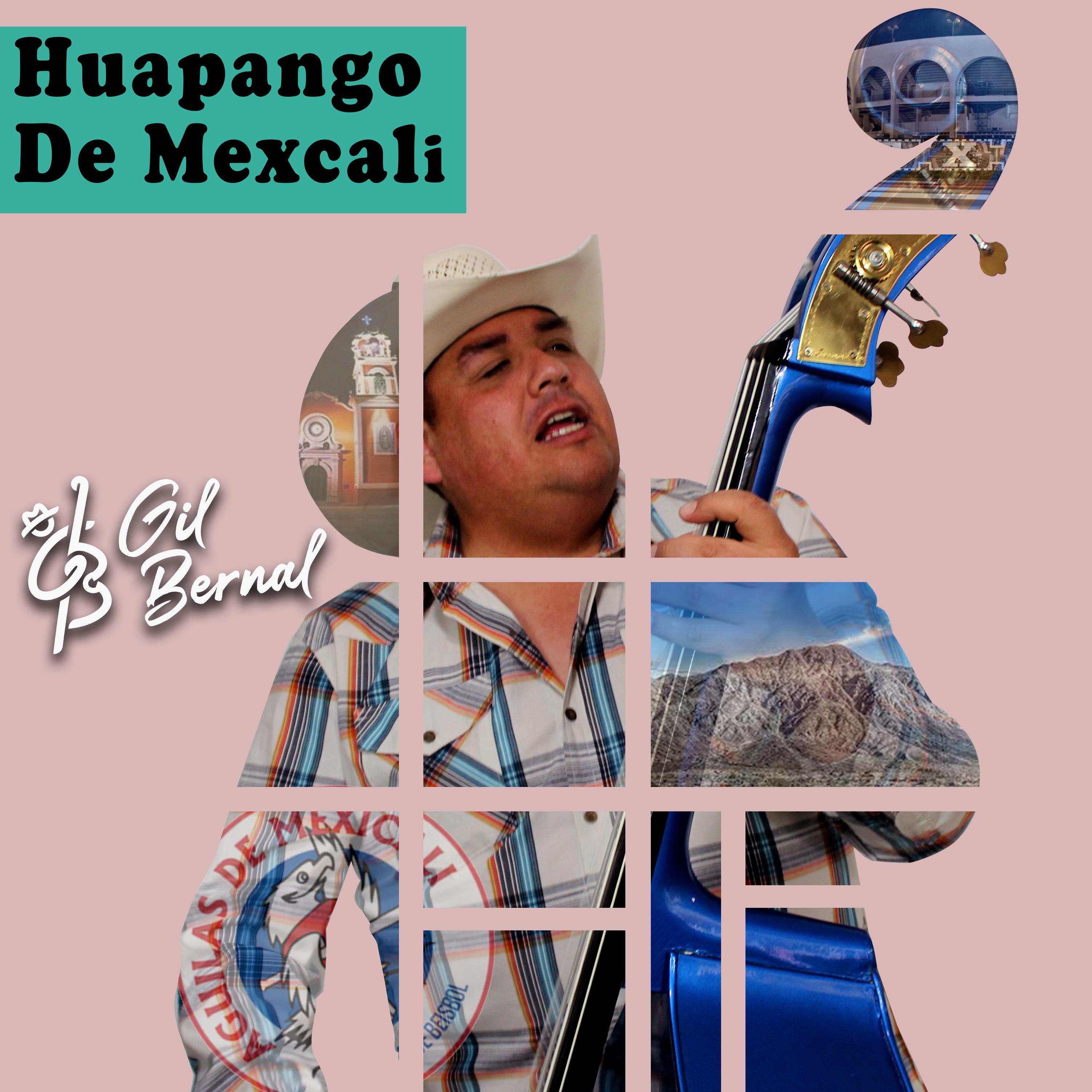 Постер альбома Huapango de Mexicali
