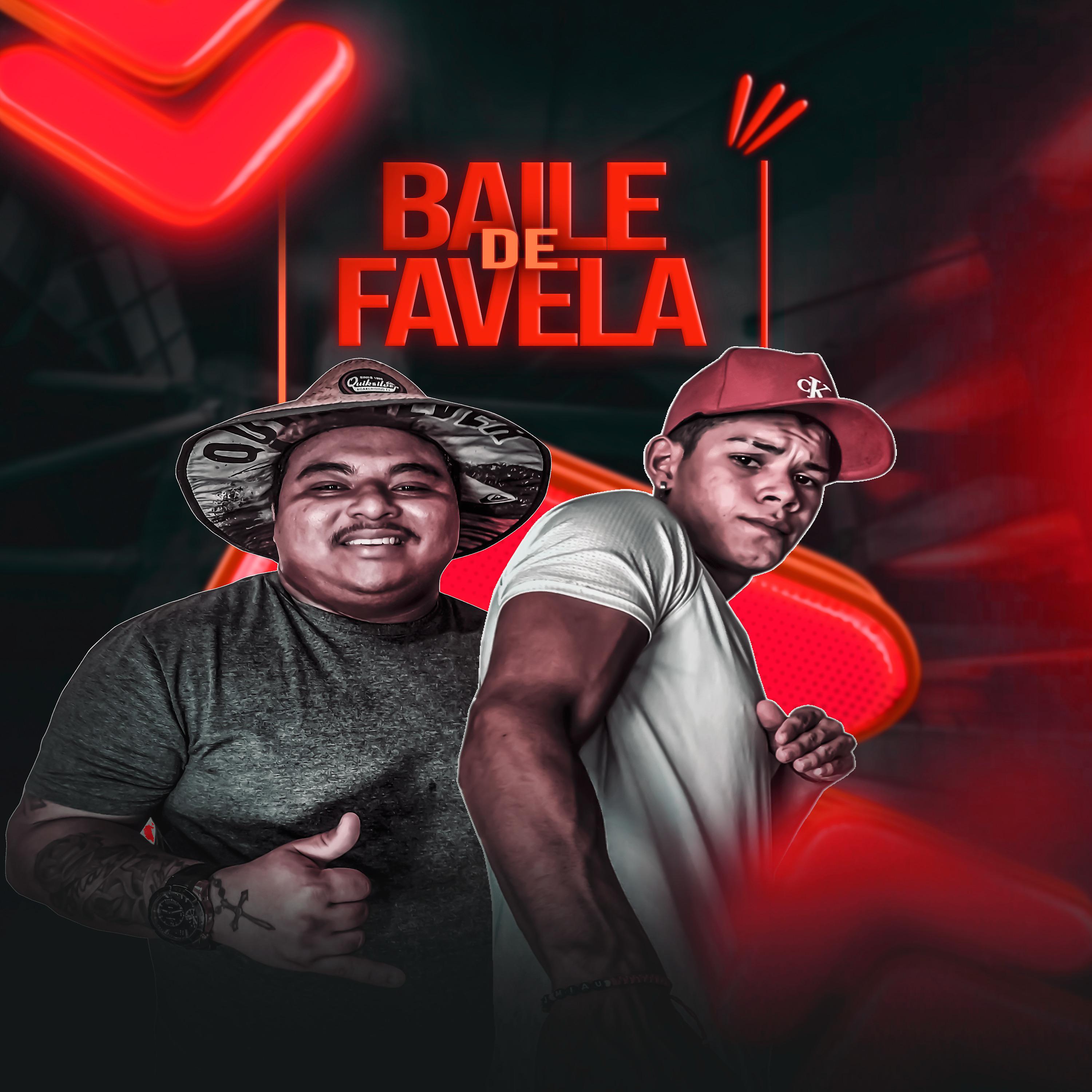Постер альбома Baile de Favela