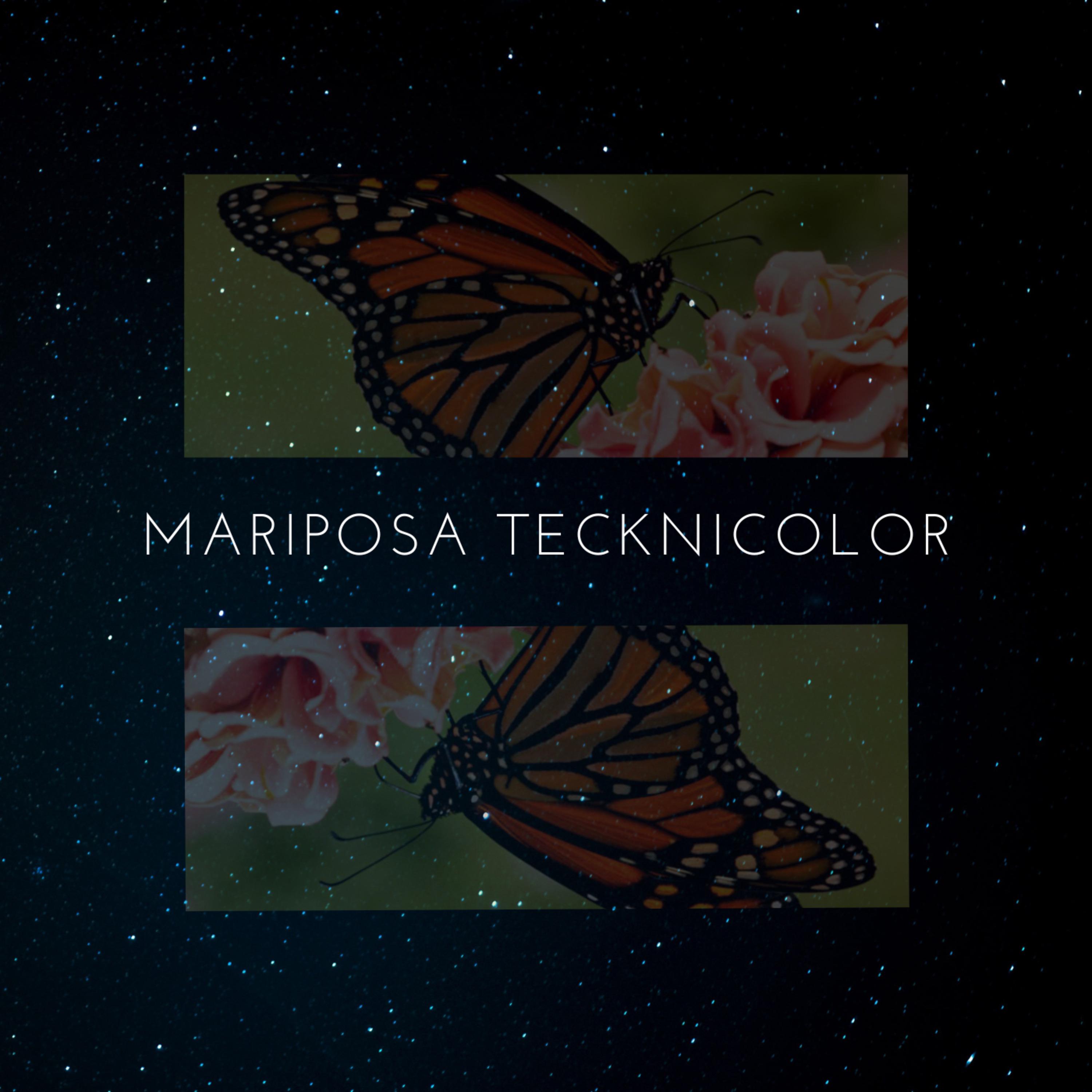 Постер альбома Mariposa Tecknicolor