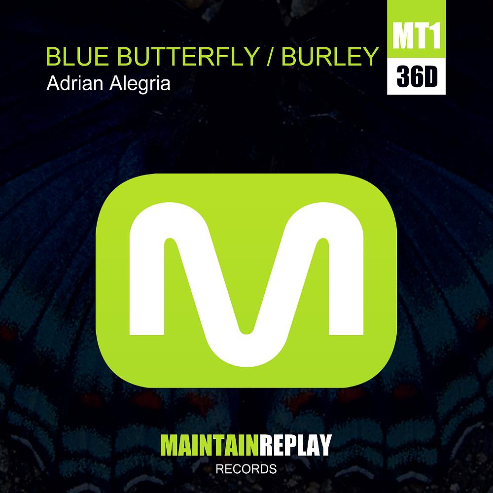 Постер альбома Blue Butterfly - Burley EP