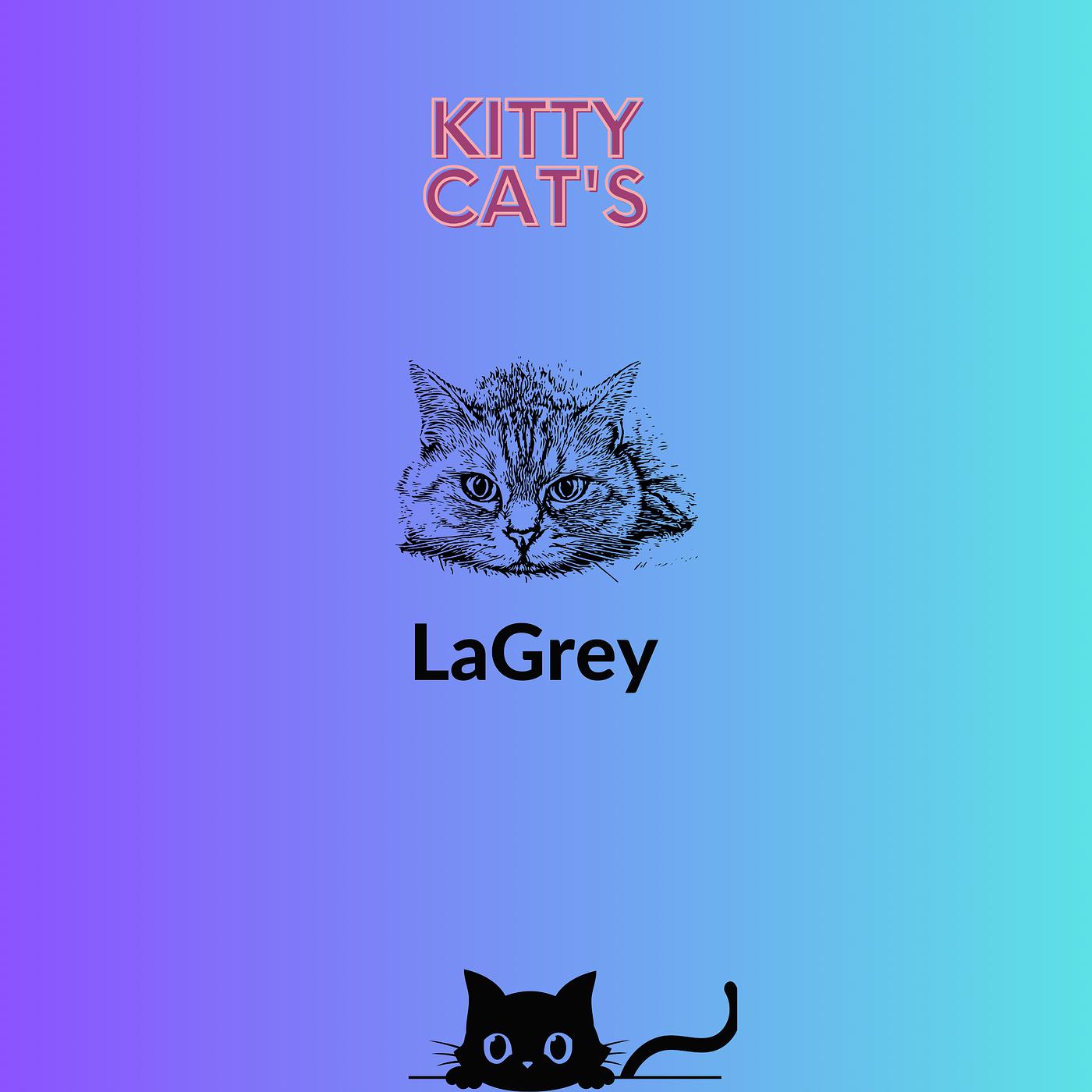 Постер альбома Kitty Cat's