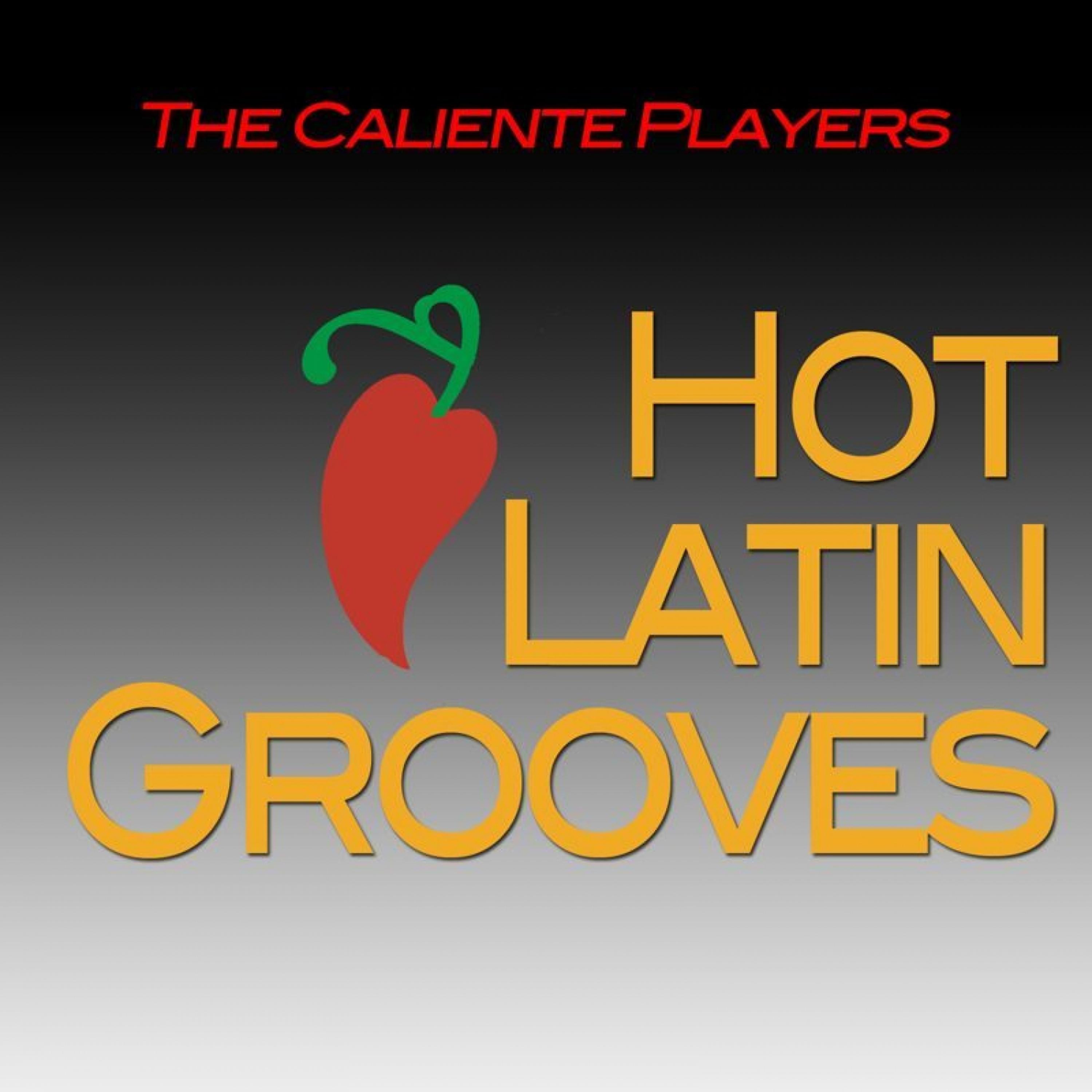 Постер альбома Hot Latin Grooves
