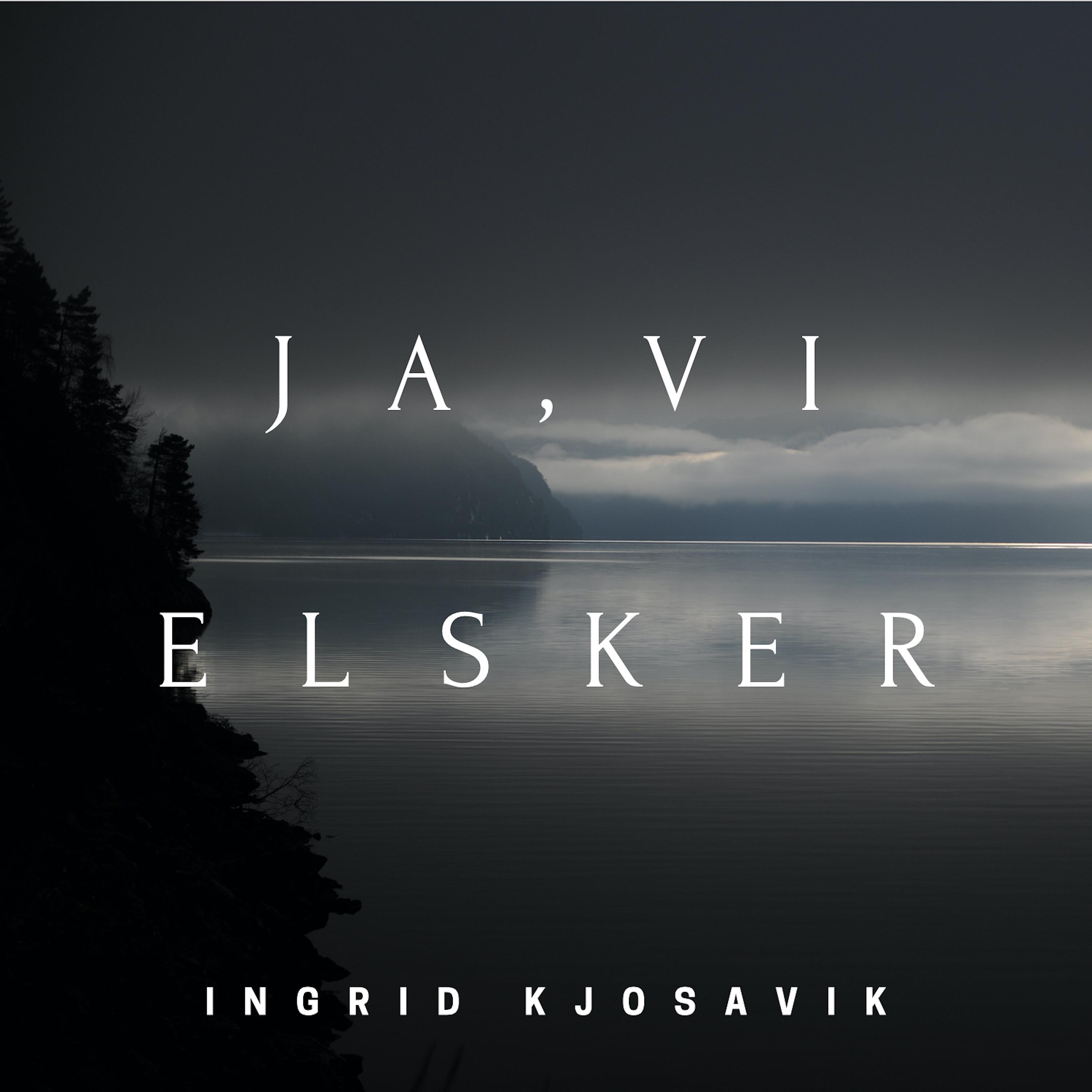 Постер альбома Ja, Vi Elsker