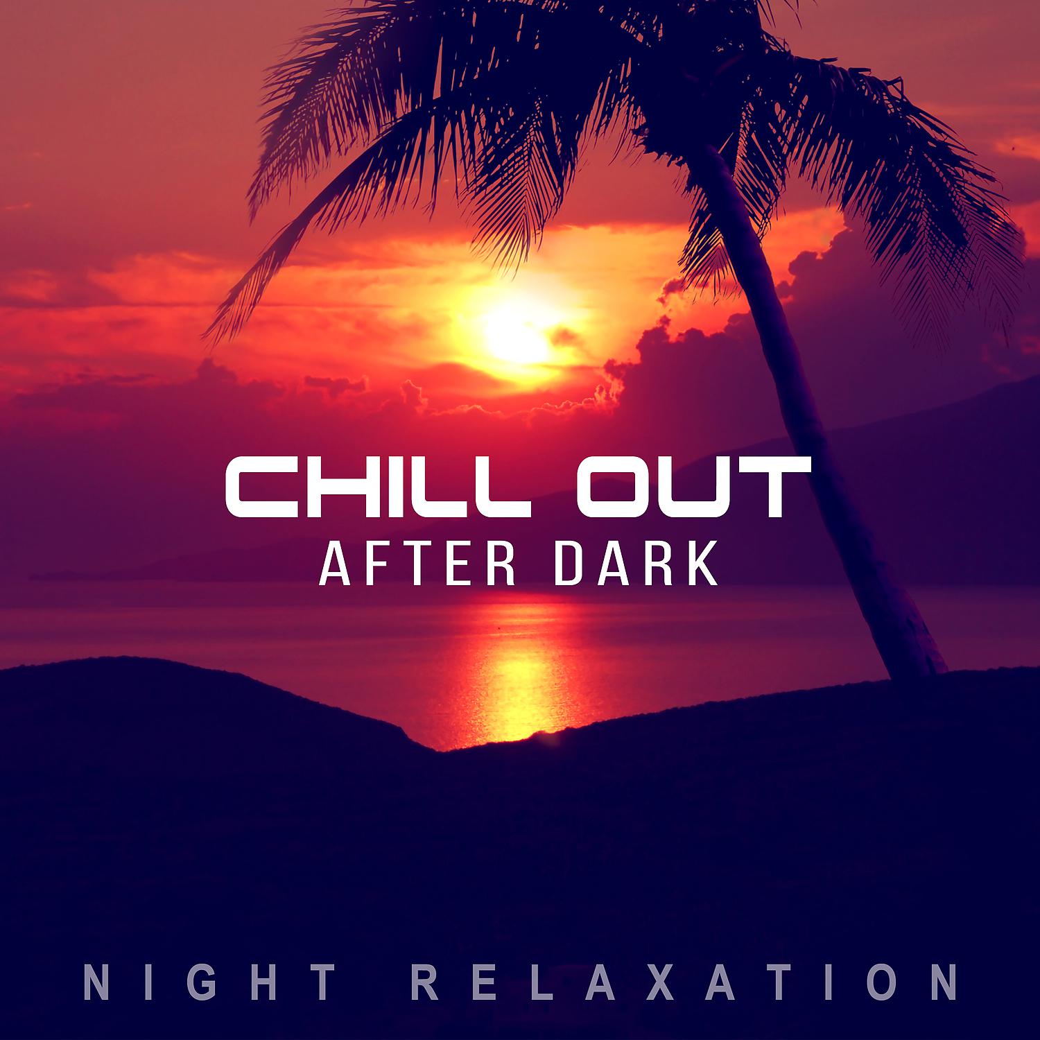Постер альбома Chill Out After Dark: Night Relaxation, The Best Chillout & Lounge Music, Total Relax for Late Evening