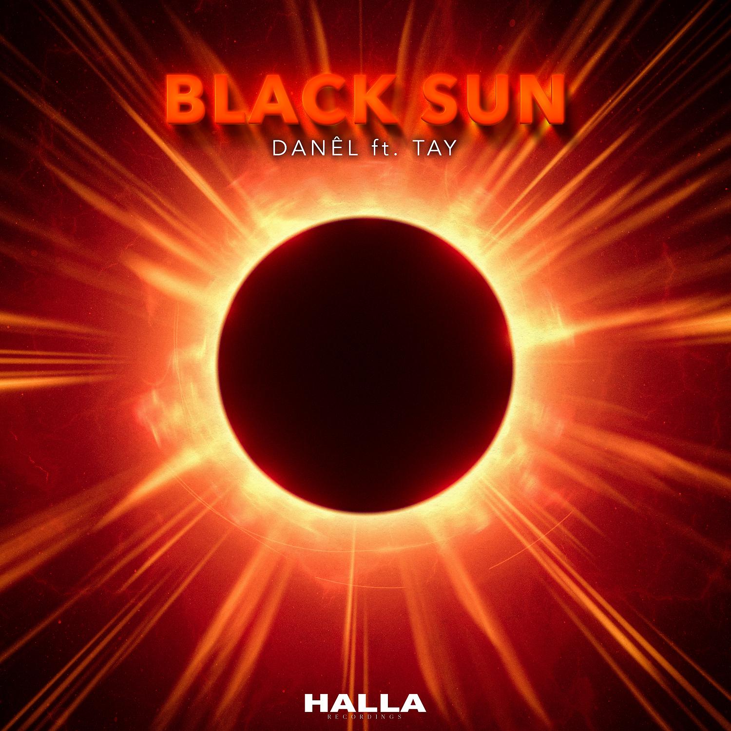 Постер альбома Black Sun (feat. TAY)