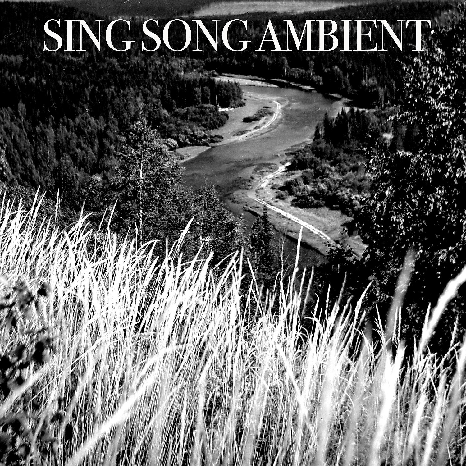 Постер альбома Sing Song Ambient