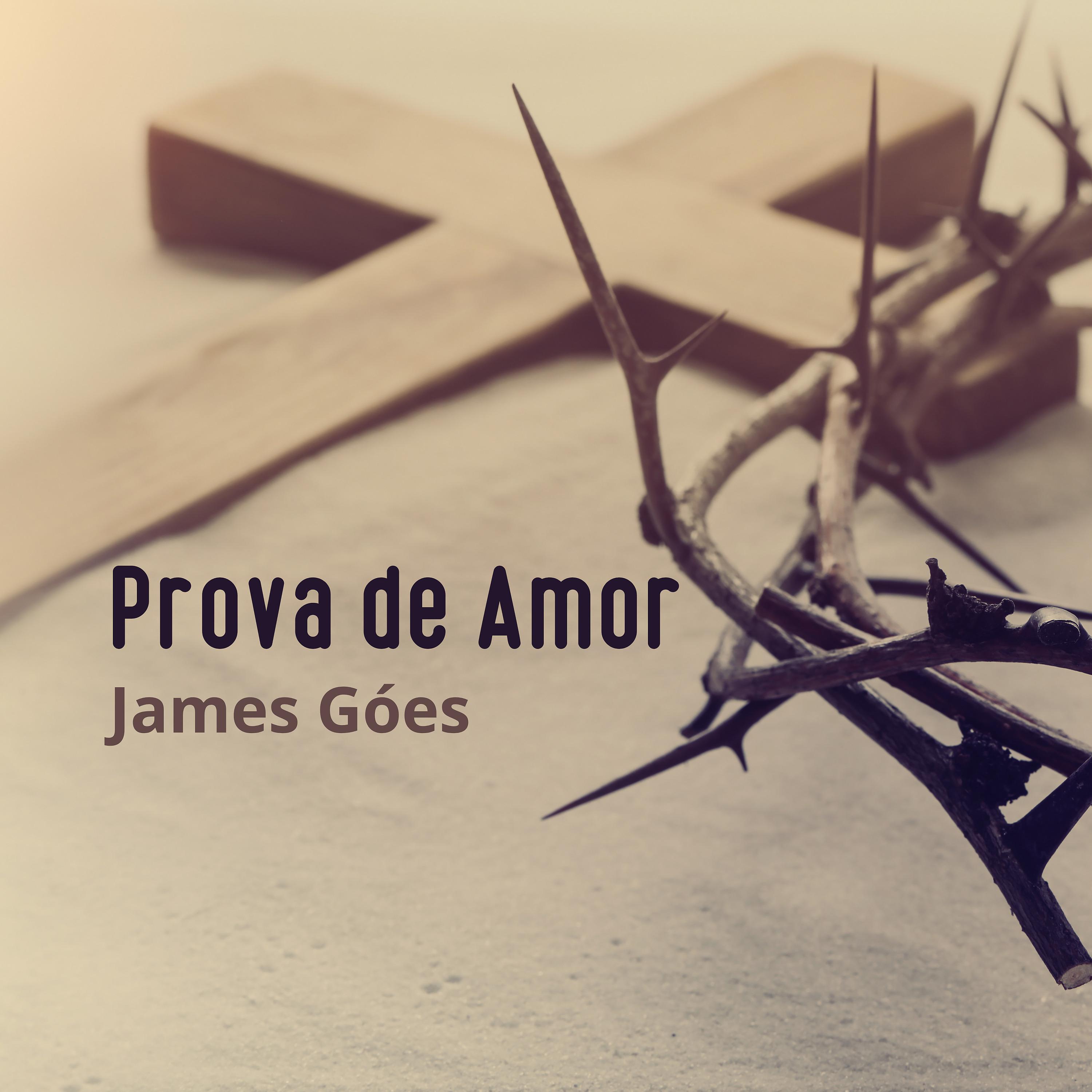 Постер альбома Prova de Amor