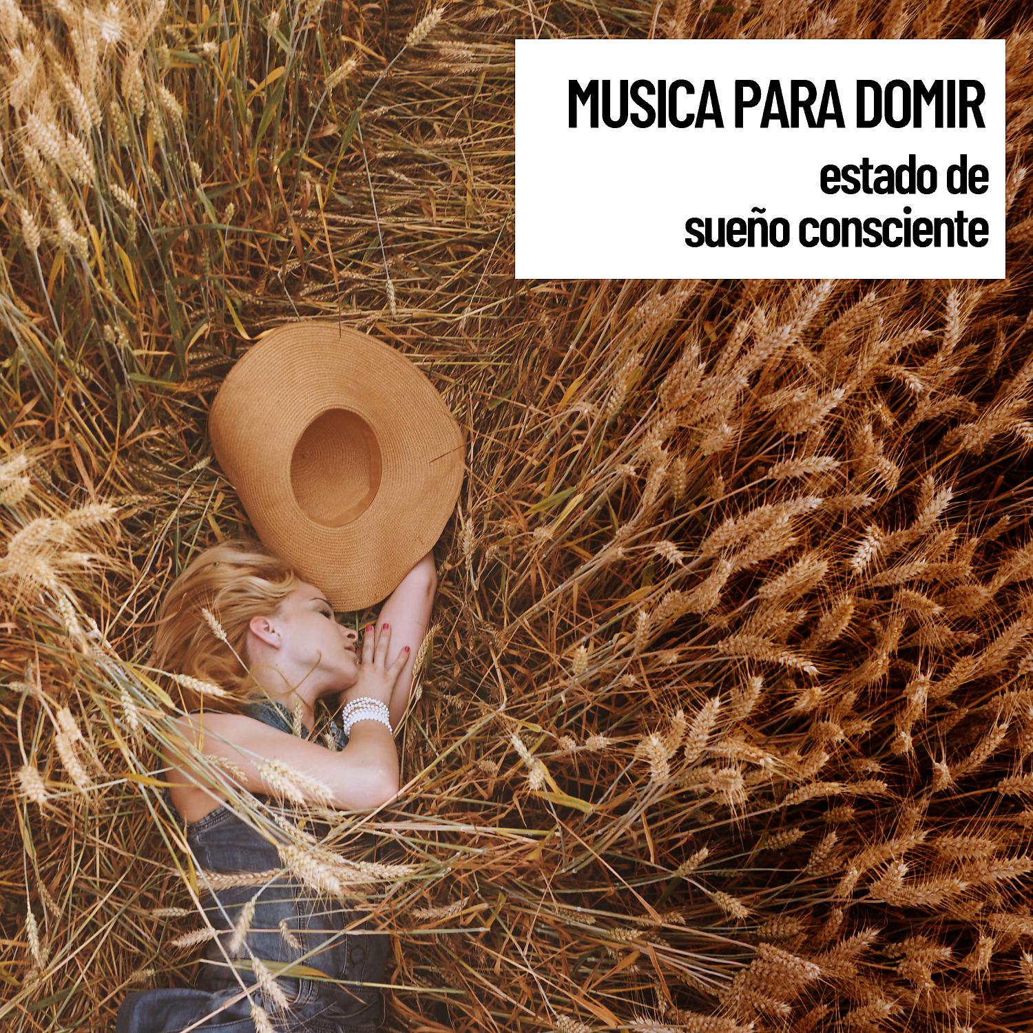 Постер альбома Relajacion: Sonidos Tranquilos: Musica para domir, estado de sue–o consciente