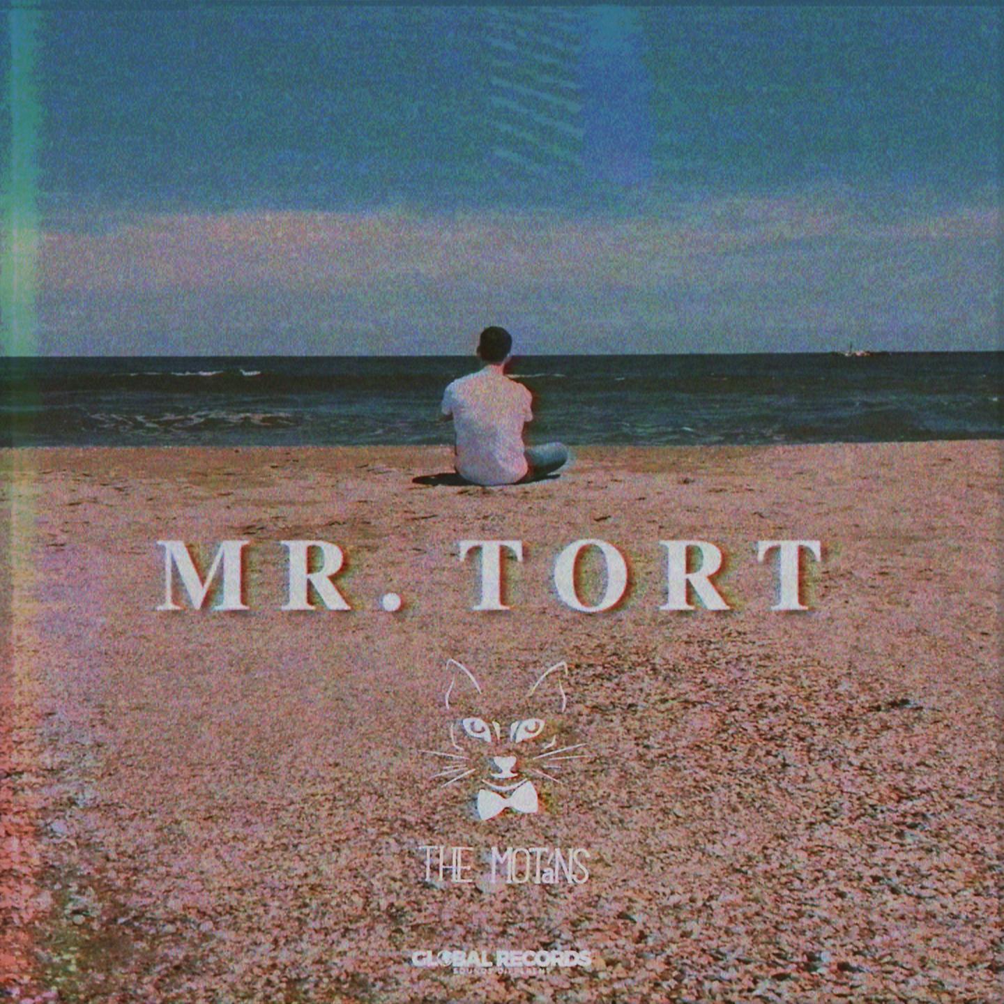 Постер альбома Mr. Tort
