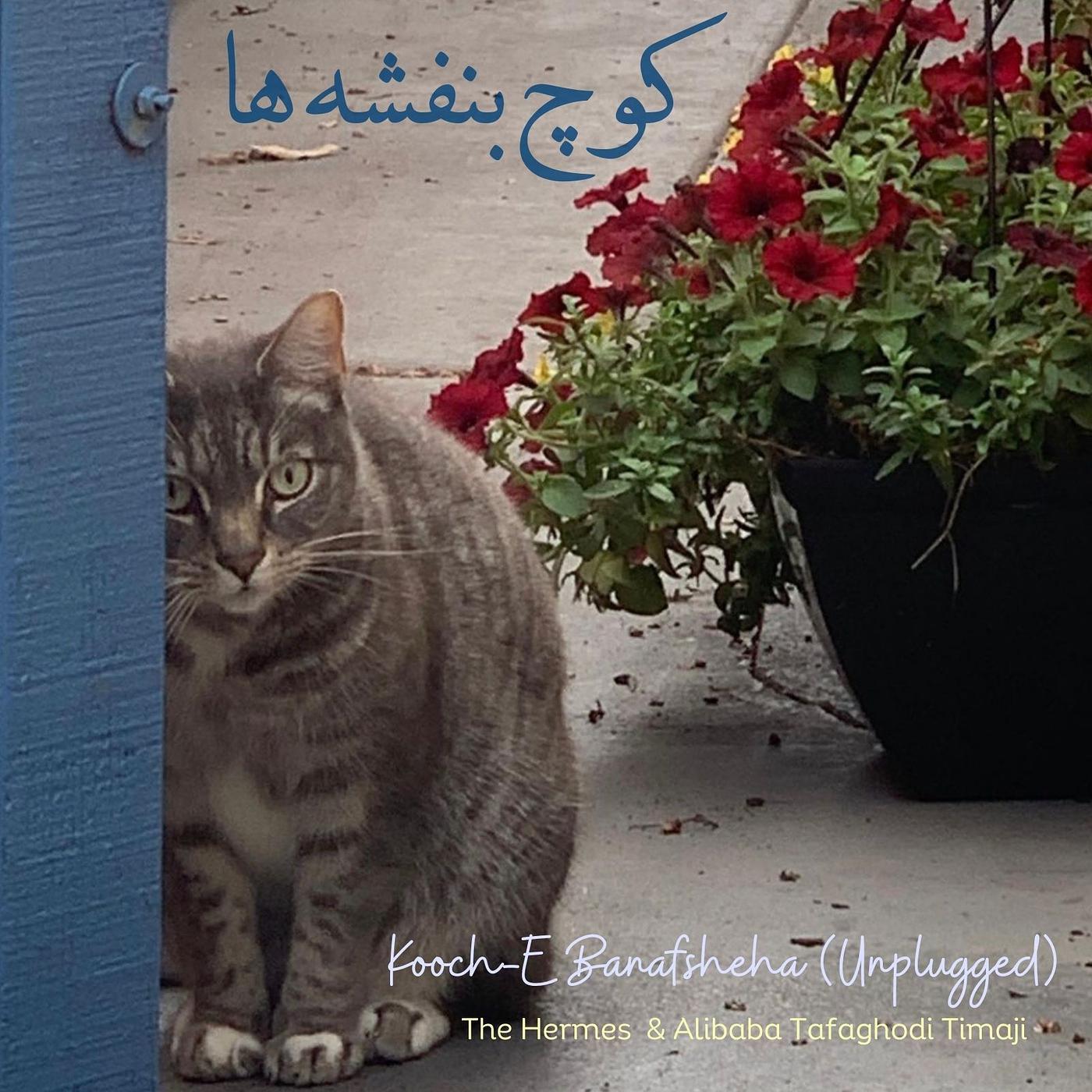 Постер альбома Kooch-E Banafsheha