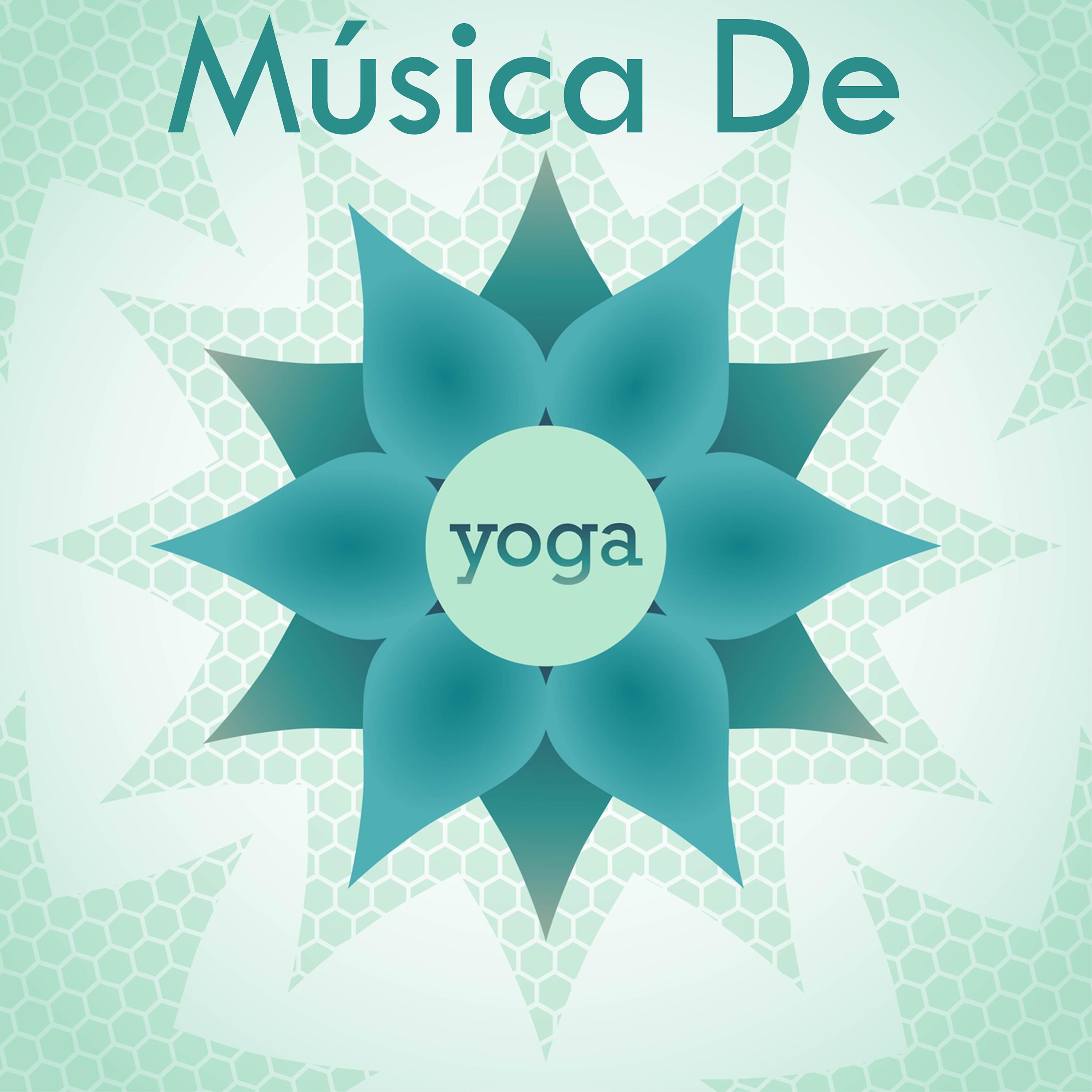 Постер альбома Música De Yoga