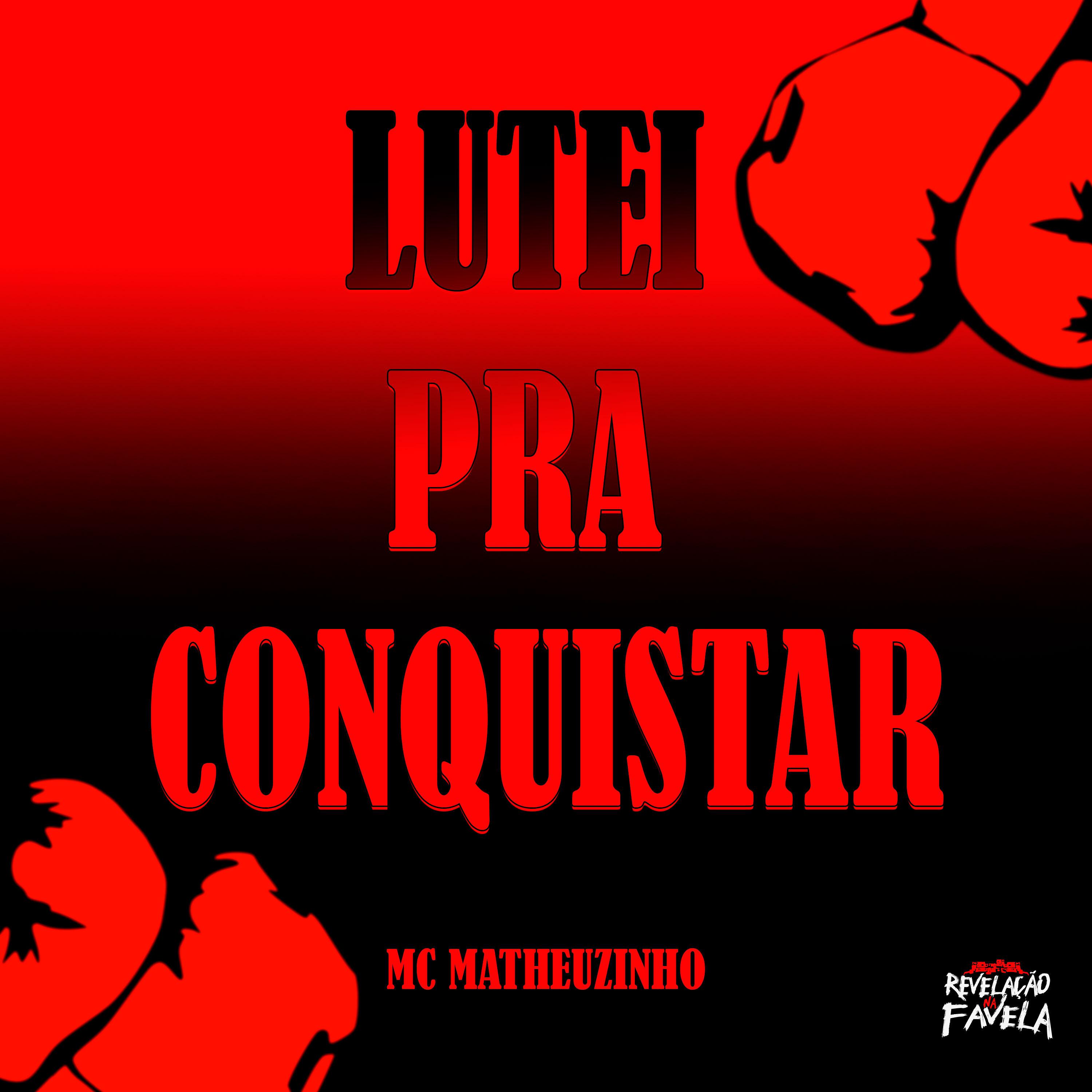 Постер альбома Lutei pra Conquistar