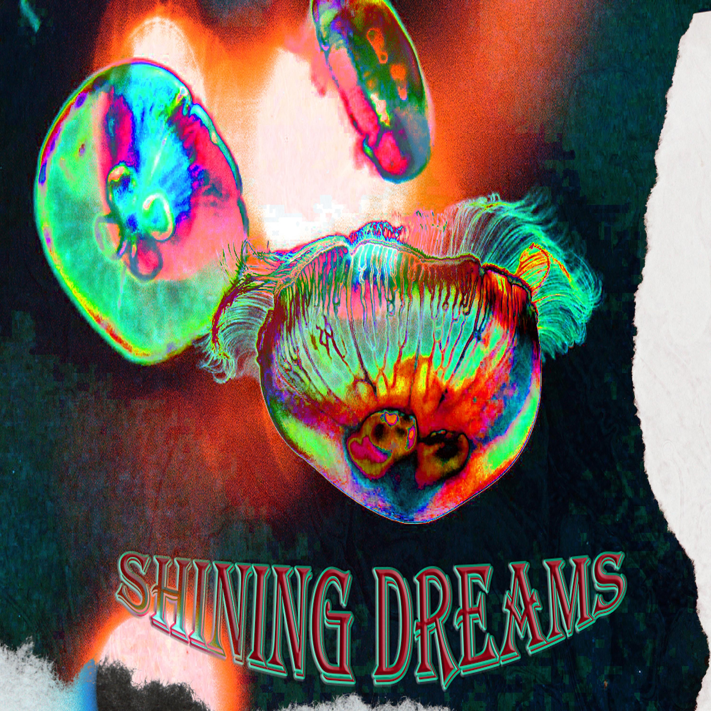Постер альбома Shining Dreams