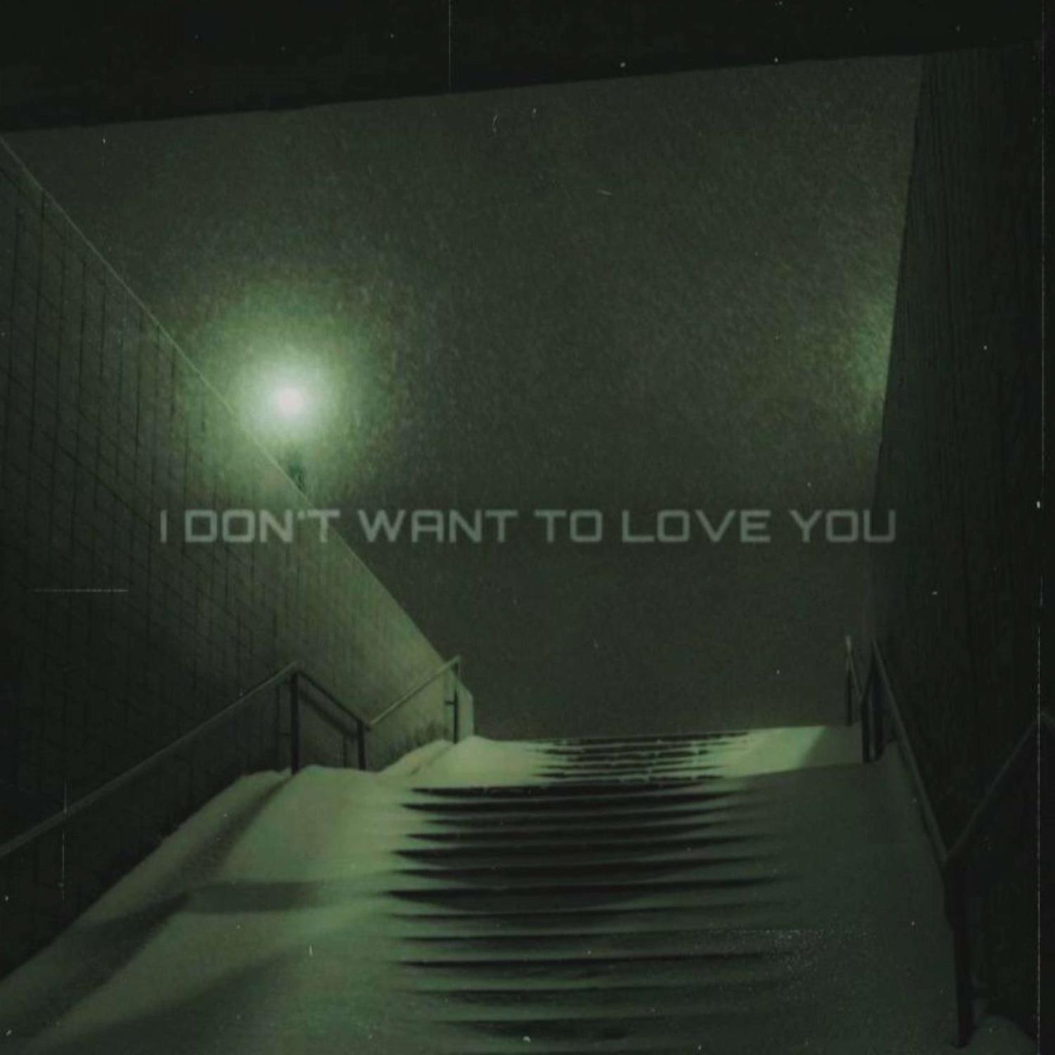 Постер альбома I DON'T WANT TO LOVE YOU