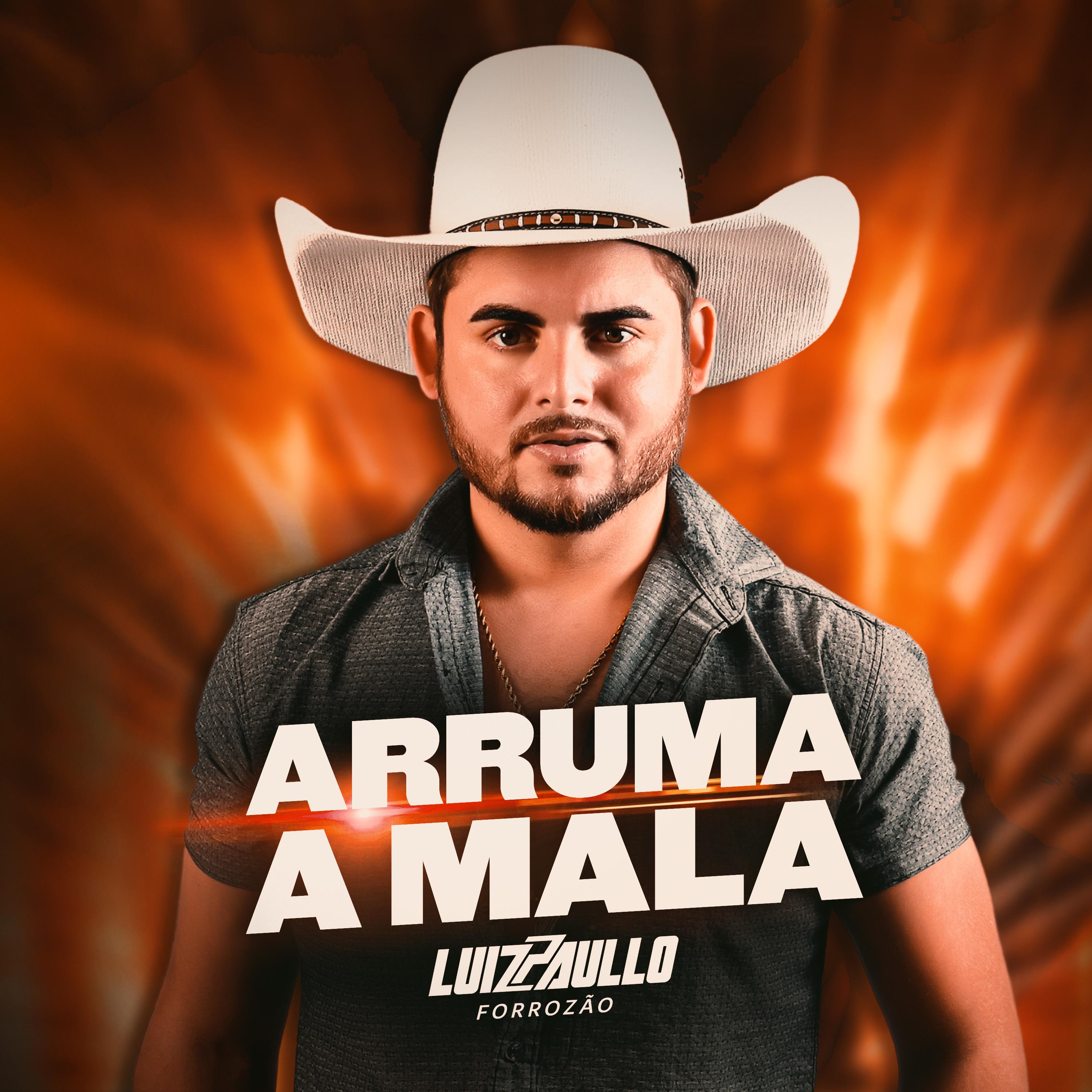 Постер альбома Arruma a Mala