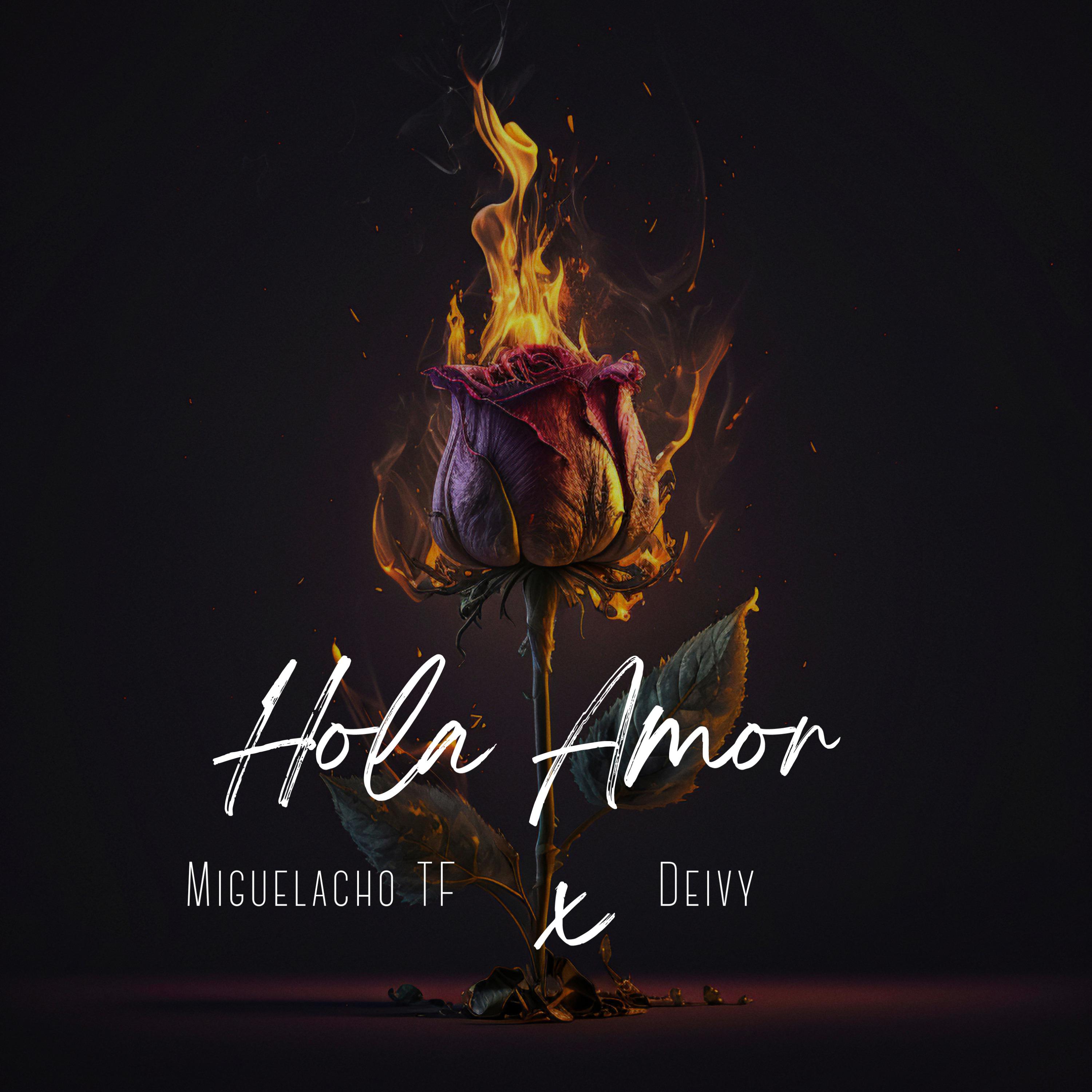 Постер альбома Hola Amor