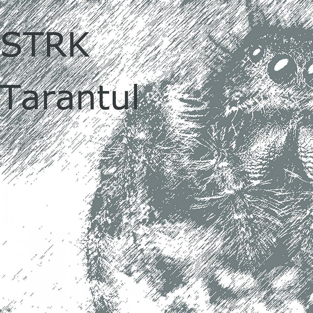 Постер альбома Tarantul