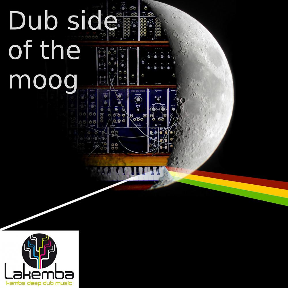 Постер альбома Dub Side of The Moog
