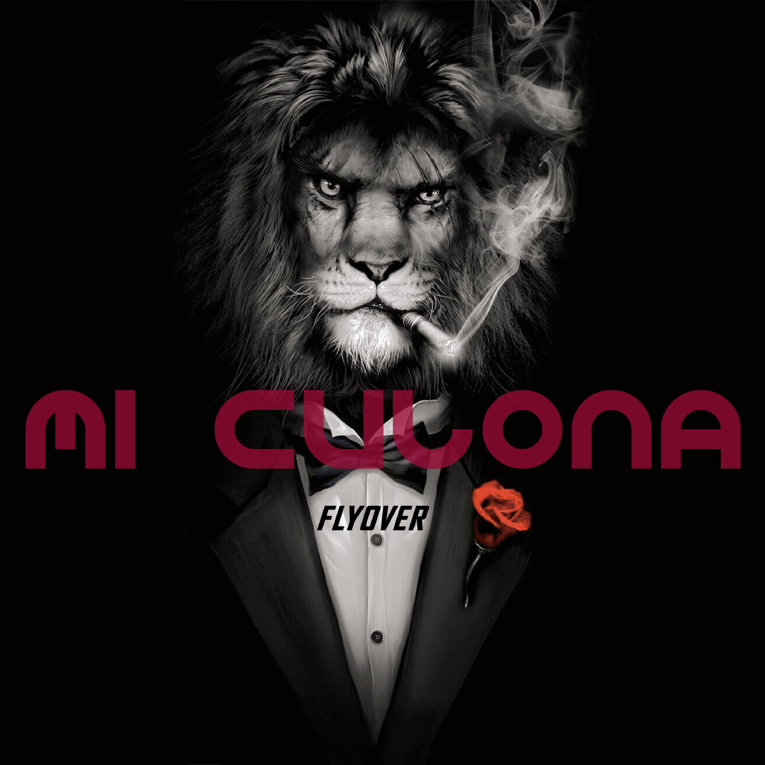 Постер альбома Mi Culona