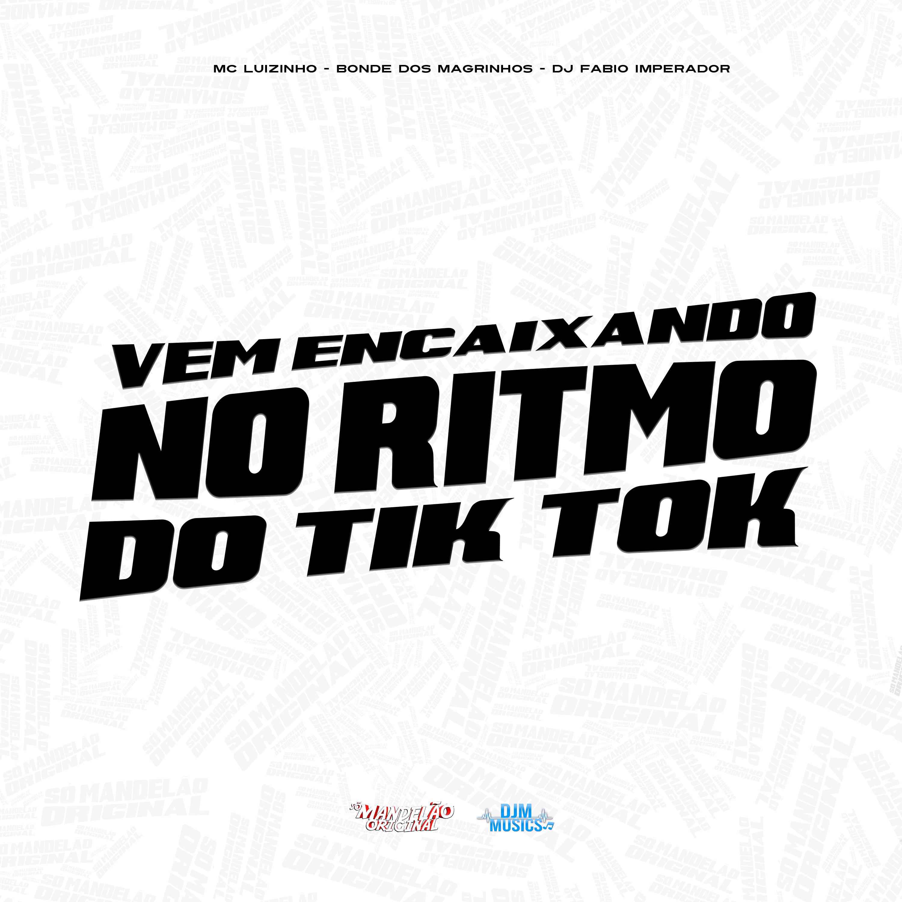 Постер альбома Vem Encaixando no Ritmo do Tik Tok