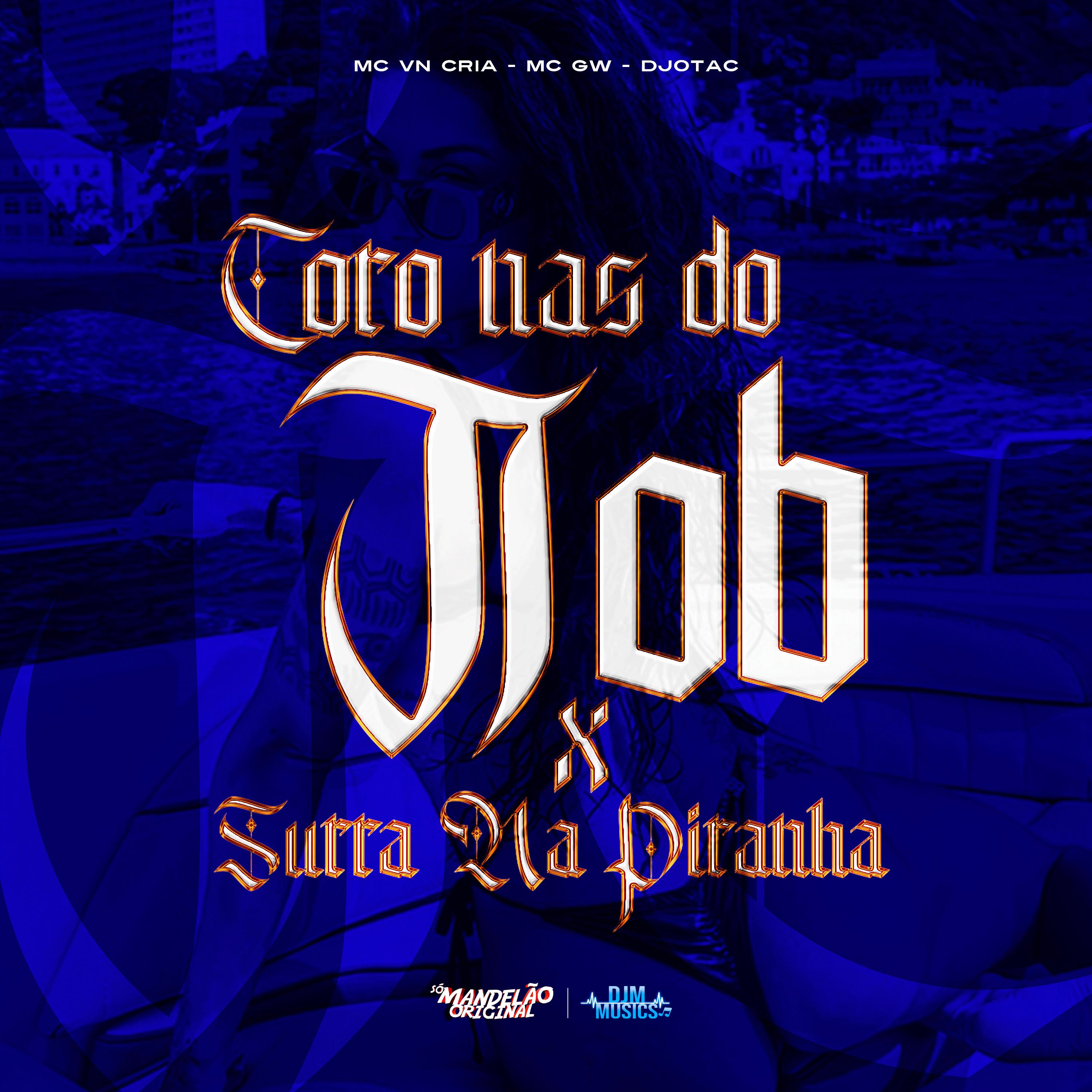 Постер альбома Coro nas do Job X Surra na Piranha
