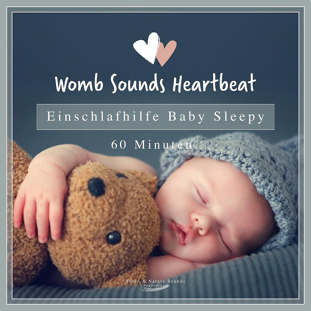 Постер альбома Einschlafhilfe Baby Sleepy (60 Minuten)