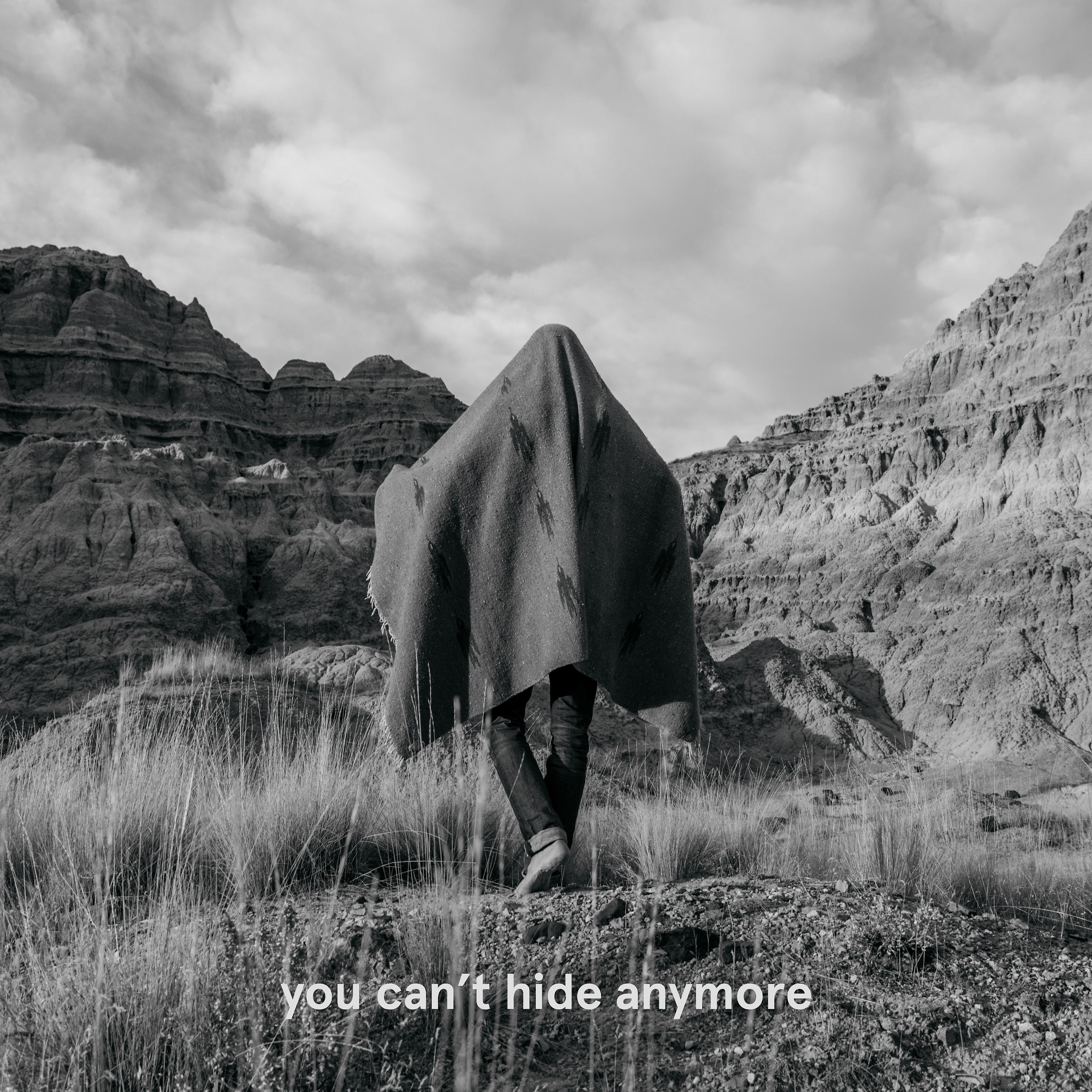 Постер альбома you can't hide anymore (feat. Hugo Sweet)